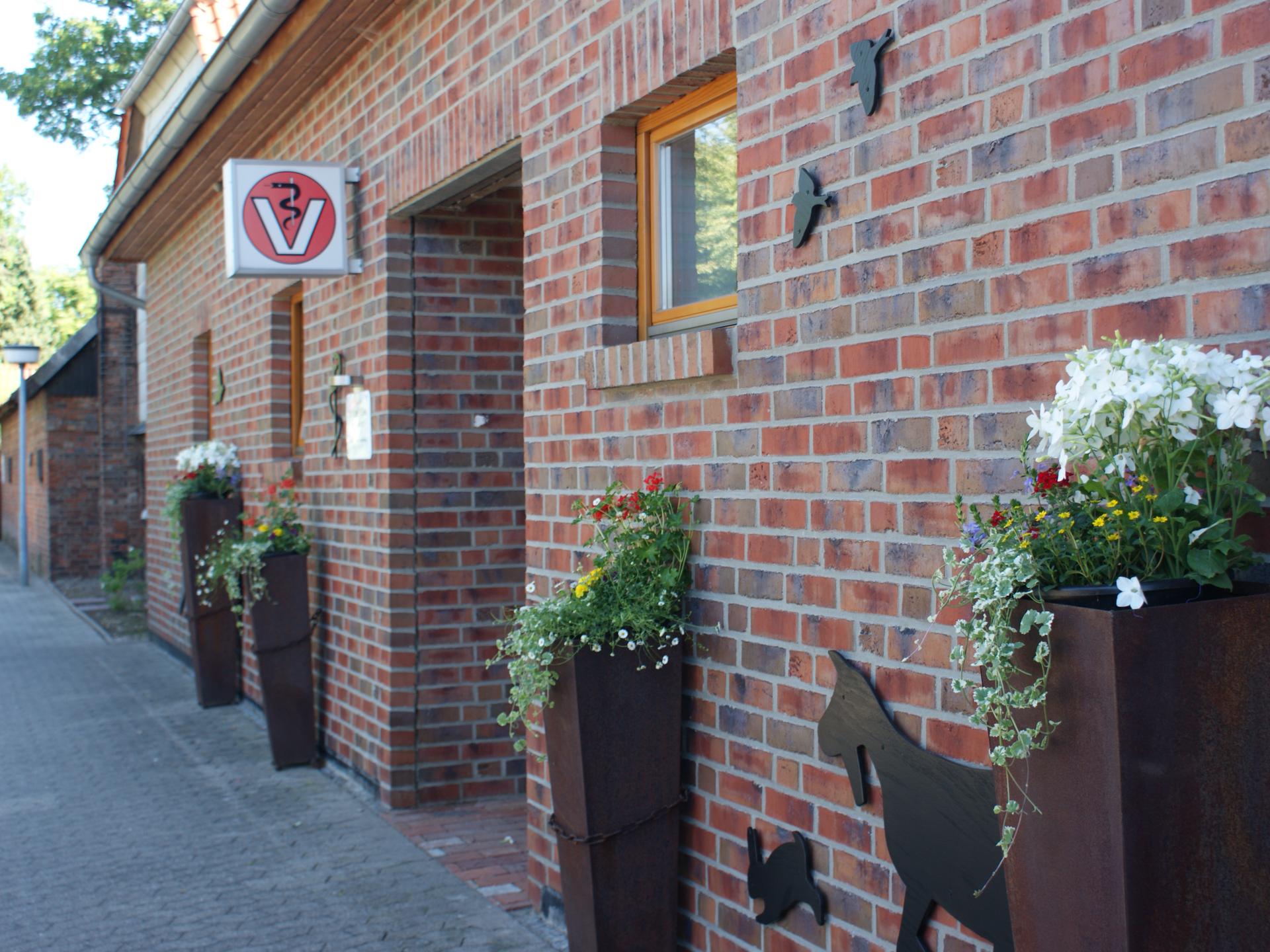 Ansicht 2 von Dr.med.vet. Dorothee Müller