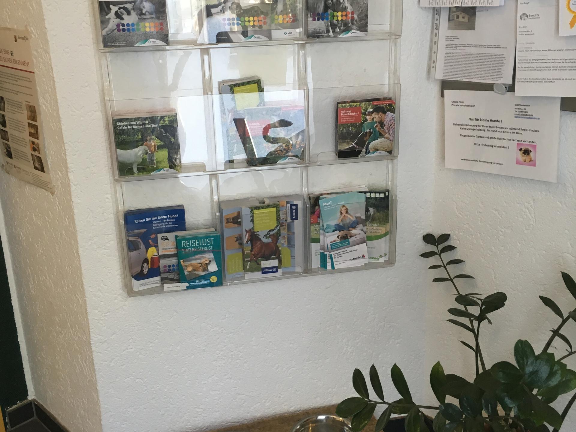 Ansicht 3 von Tierarztpraxis Kaisereiche - Katja Ströder