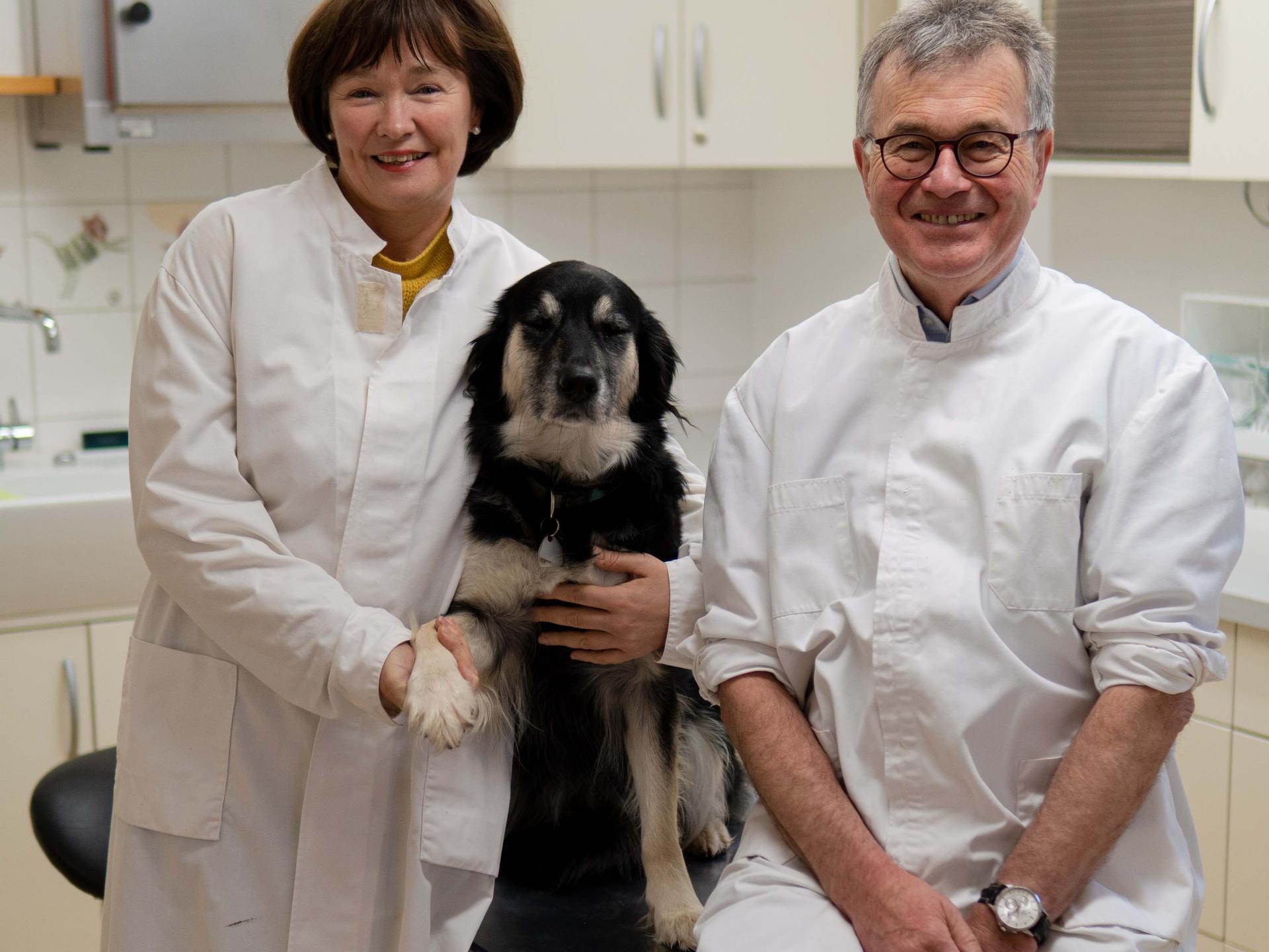 Ansicht 3 von Dr.med.vet. Ulrich Meier Tierarzt