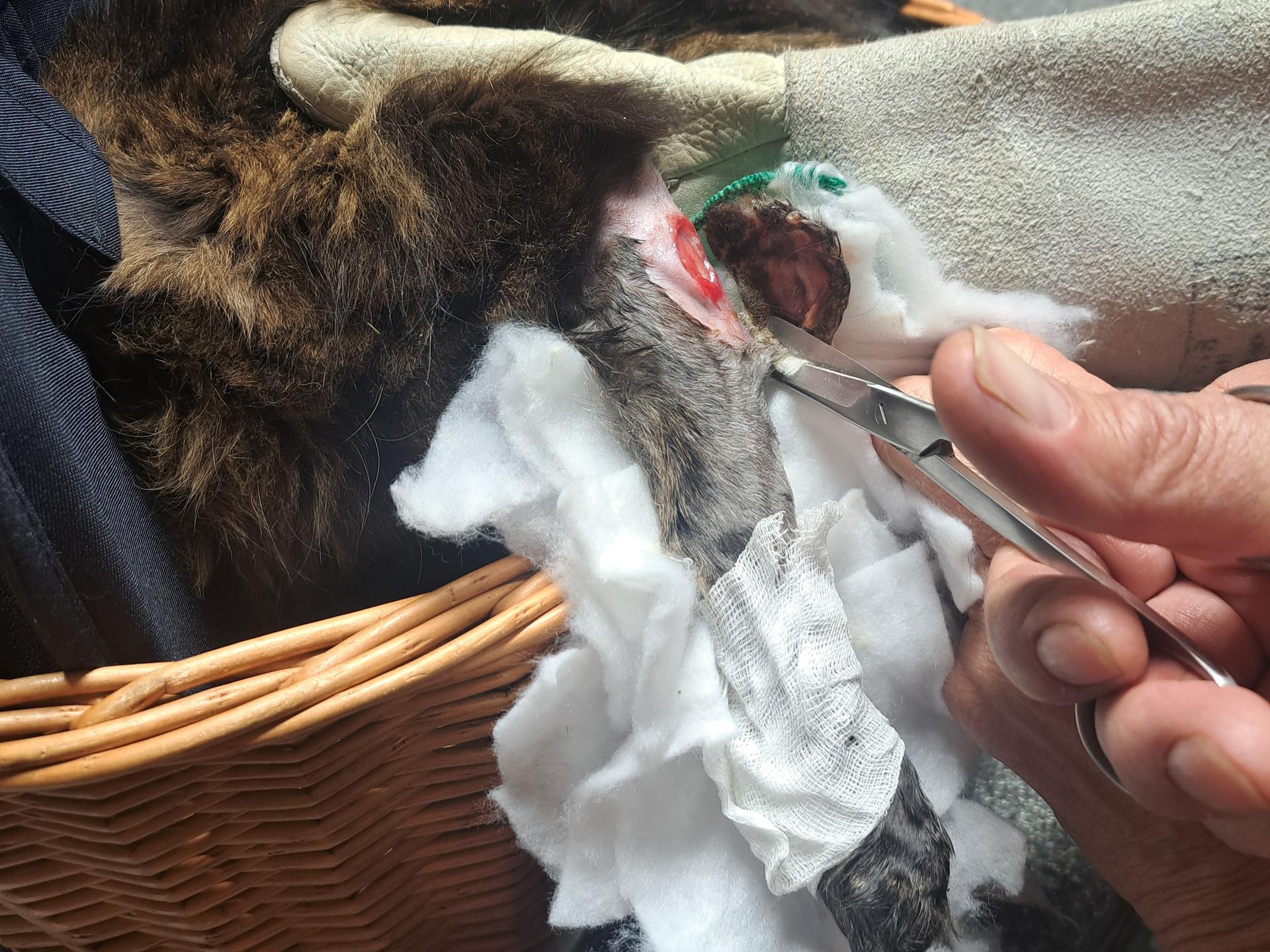 Ansicht 1 von Tierarztpraxis Eichhäuser Hof
