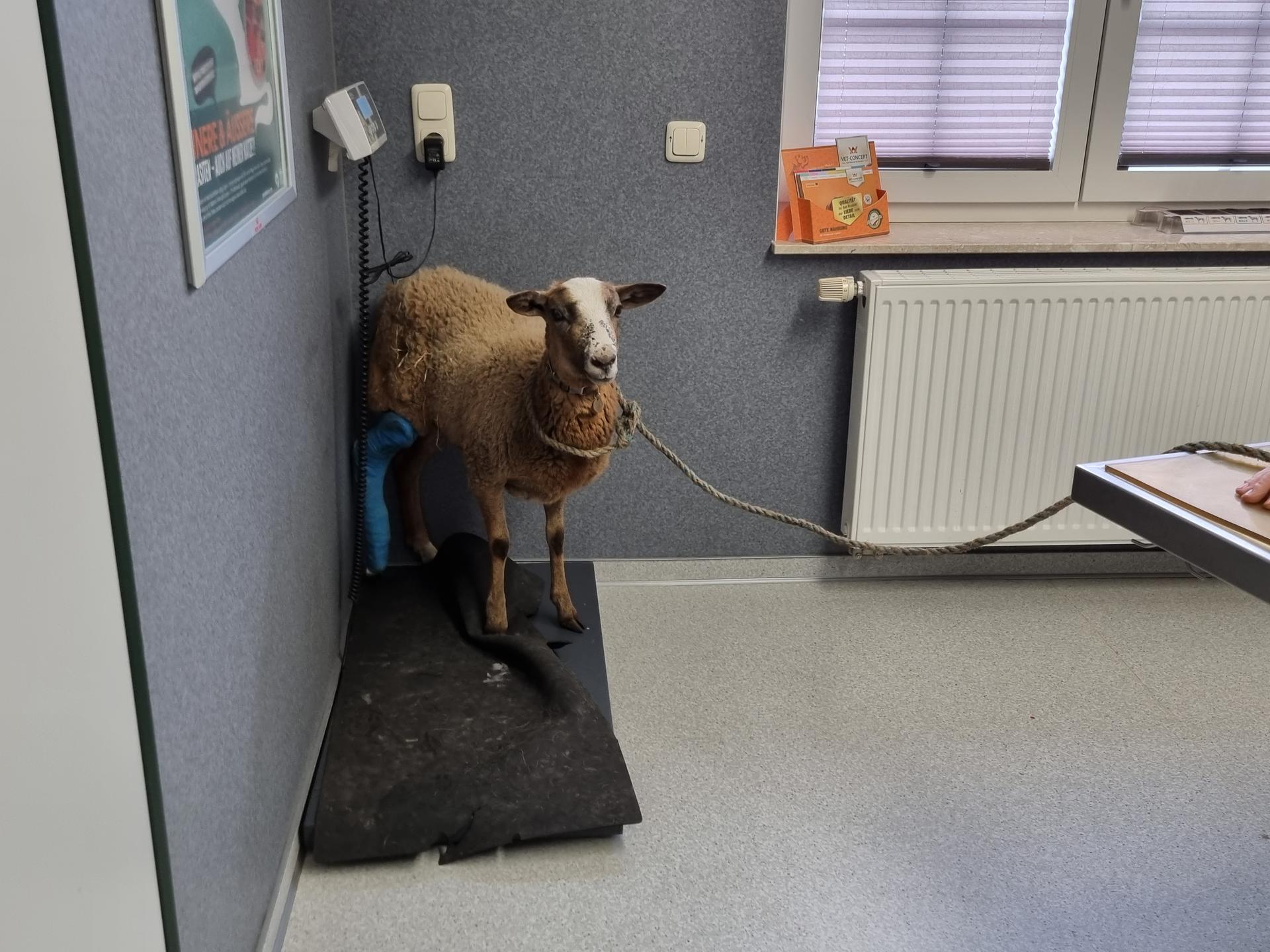 Ansicht 2 von Tierärztliche Praxis Frank Liebaug