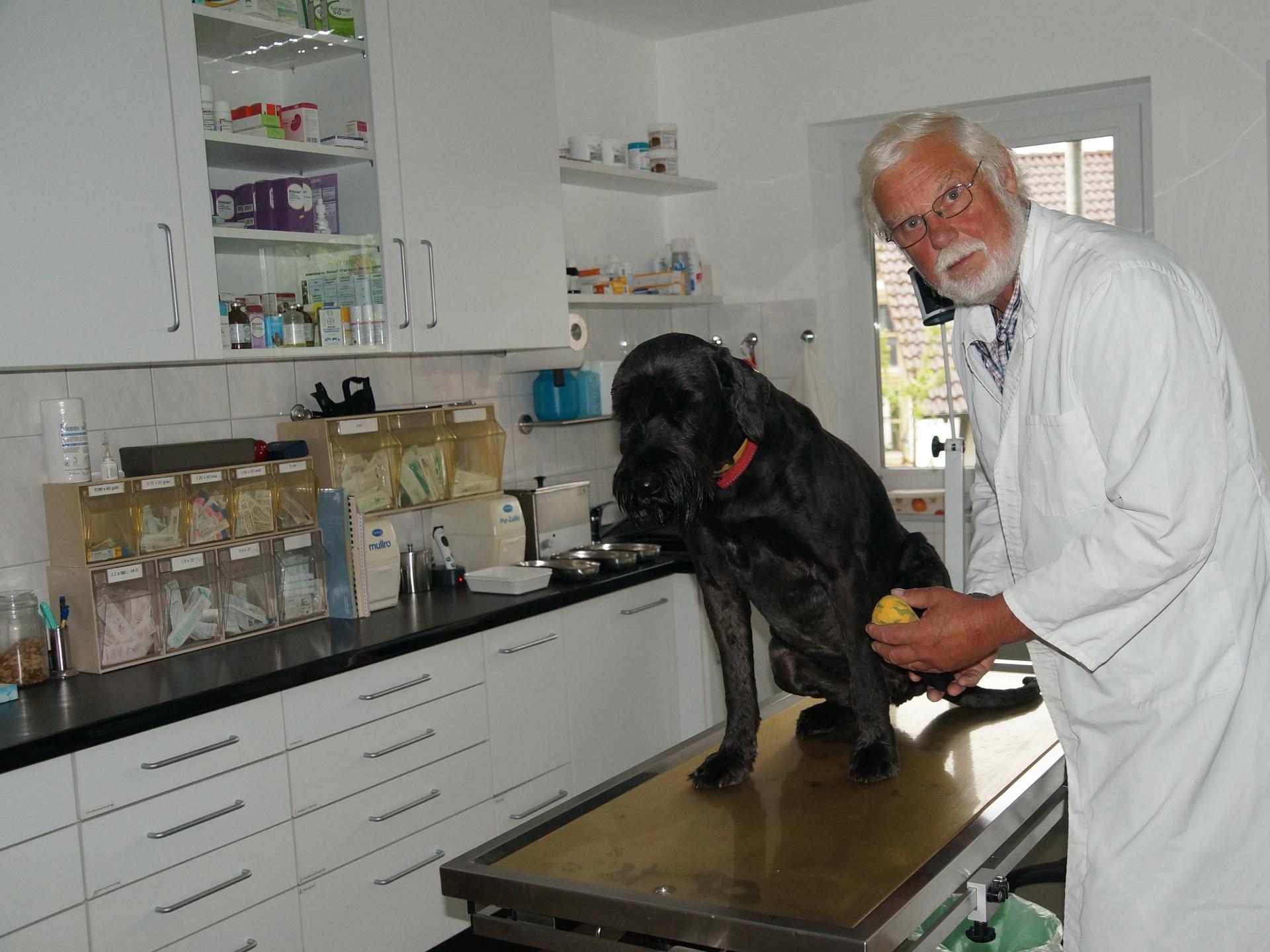 Ansicht 1 von Dr. Dirk Lellbach, prakt. Tierarzt