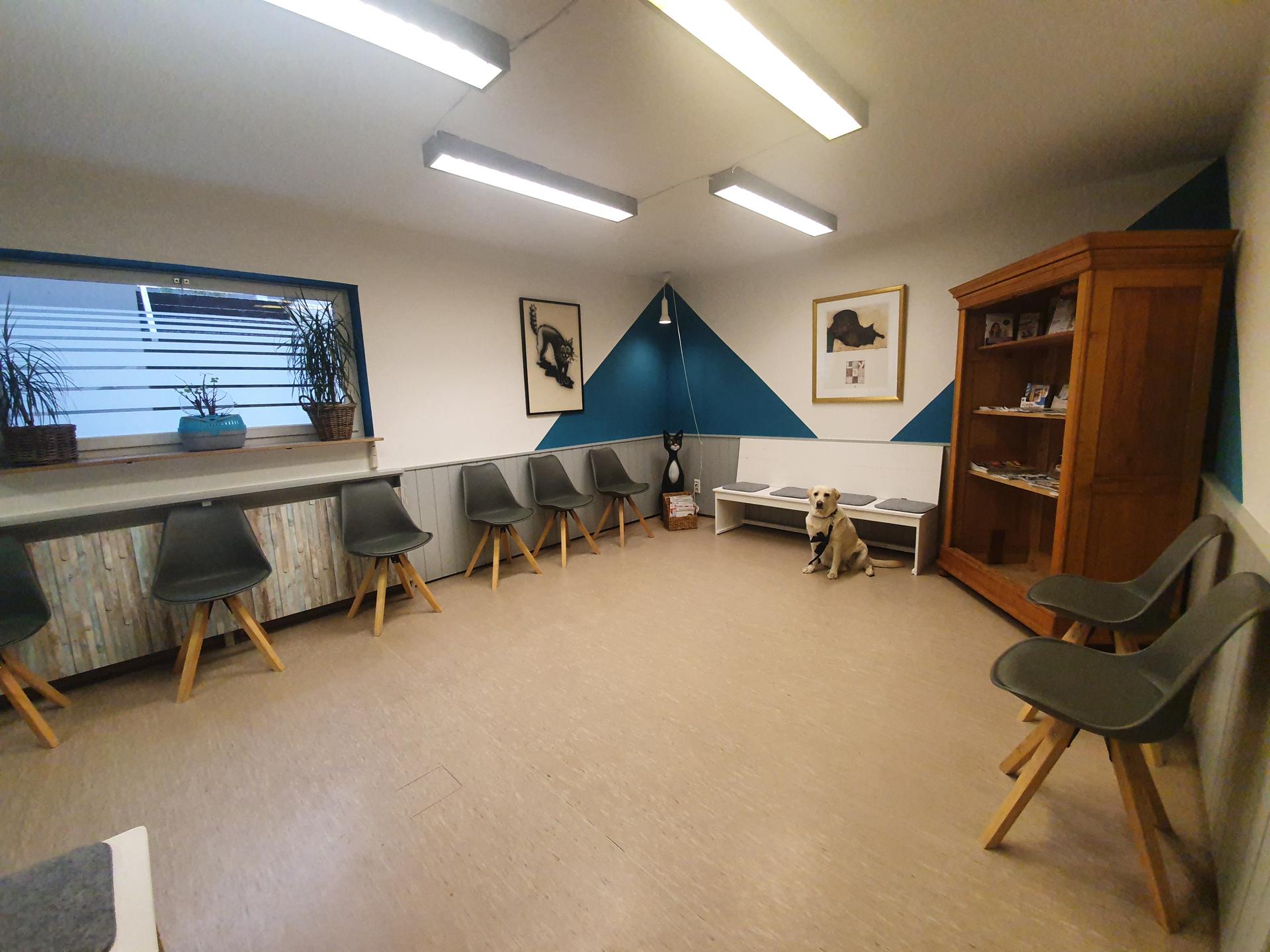 View 1 of Tierarztpraxis im Pfennigsweg