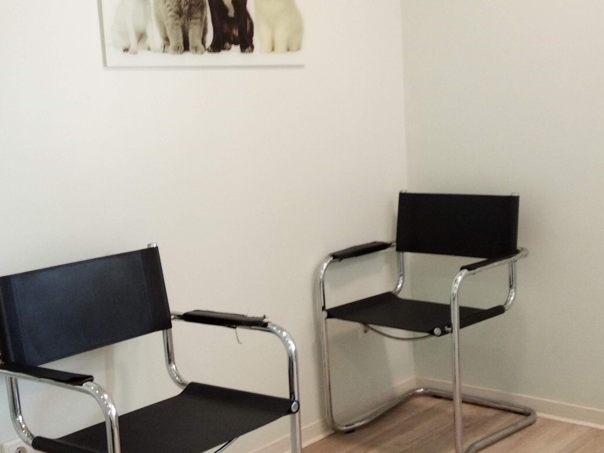 Ansicht 3 von Tierarztpraxis Wammi