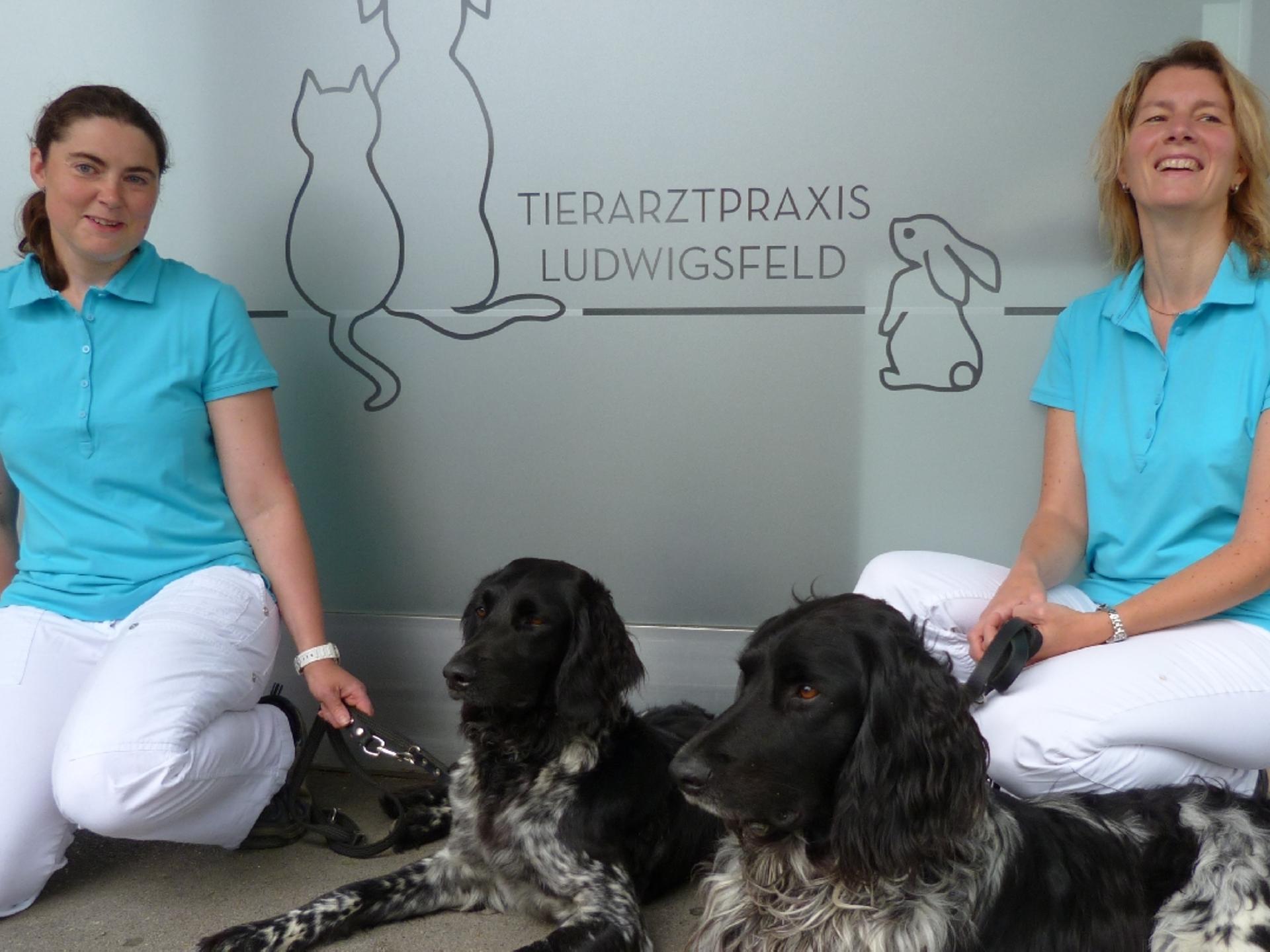 Ansicht 1 von Tierarztpraxis Ludwigsfeld / Neu-Ulm - Dr. Manuela Markl