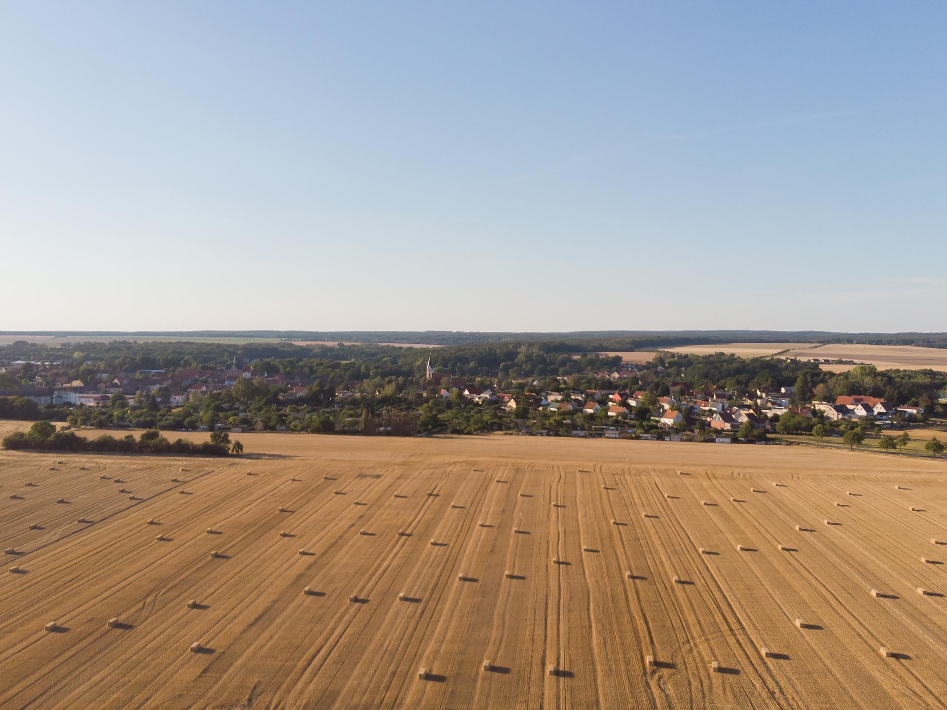 Ansicht 2 von Heidegut Dahlen GbR