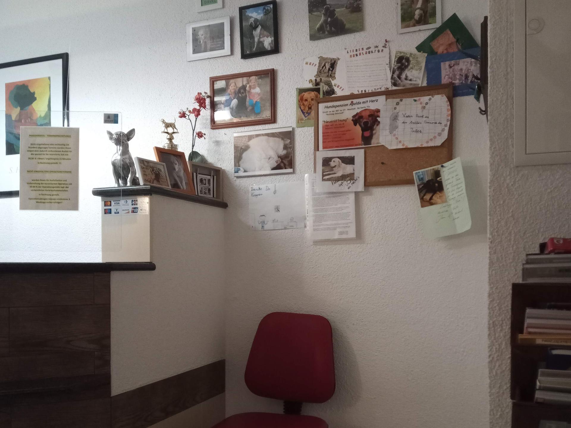 Ansicht 3 von Tierarztpraxis L. Kupper