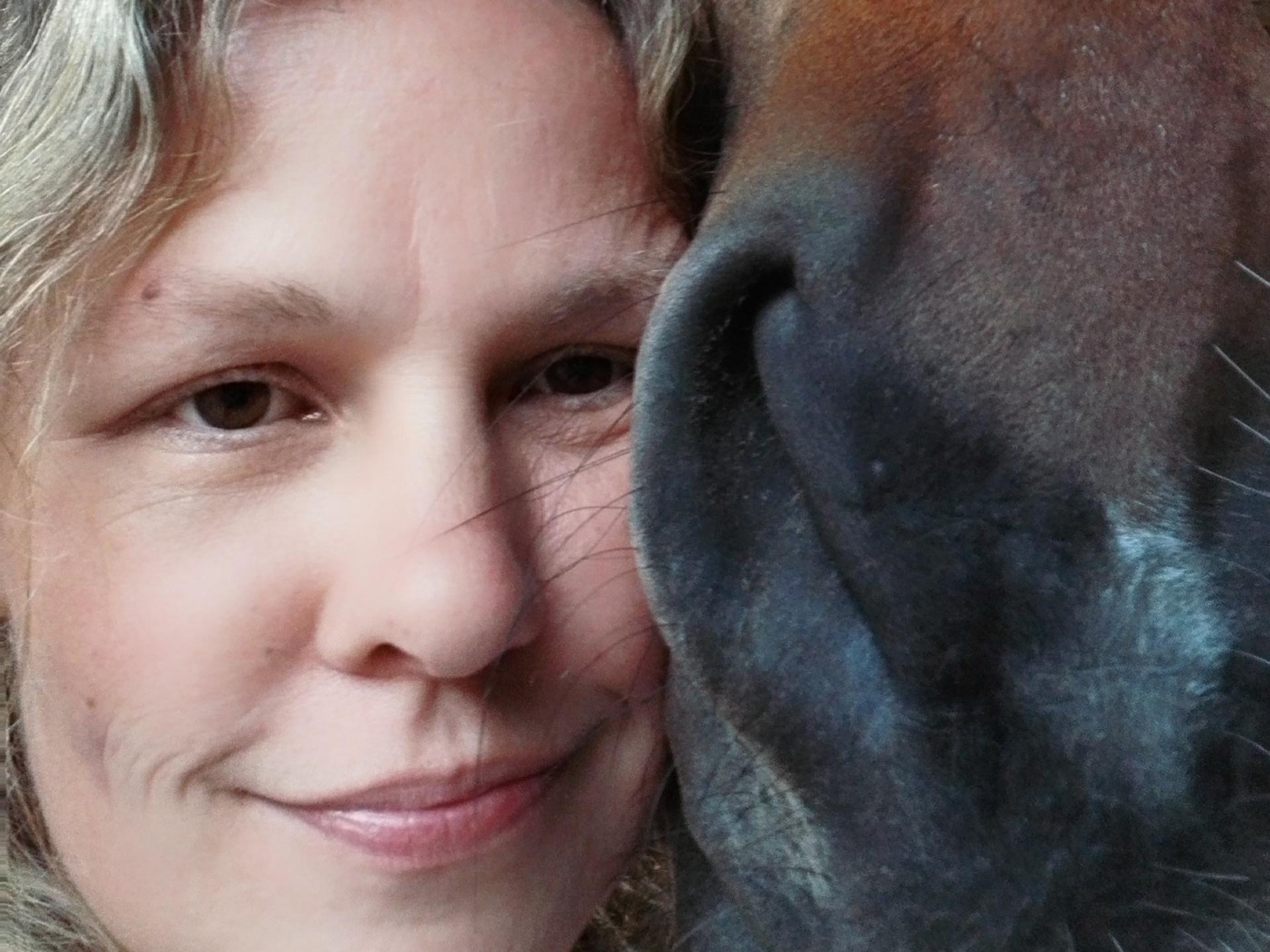 Ansicht 2 von VetBalance - Mobile Tierarztpraxis