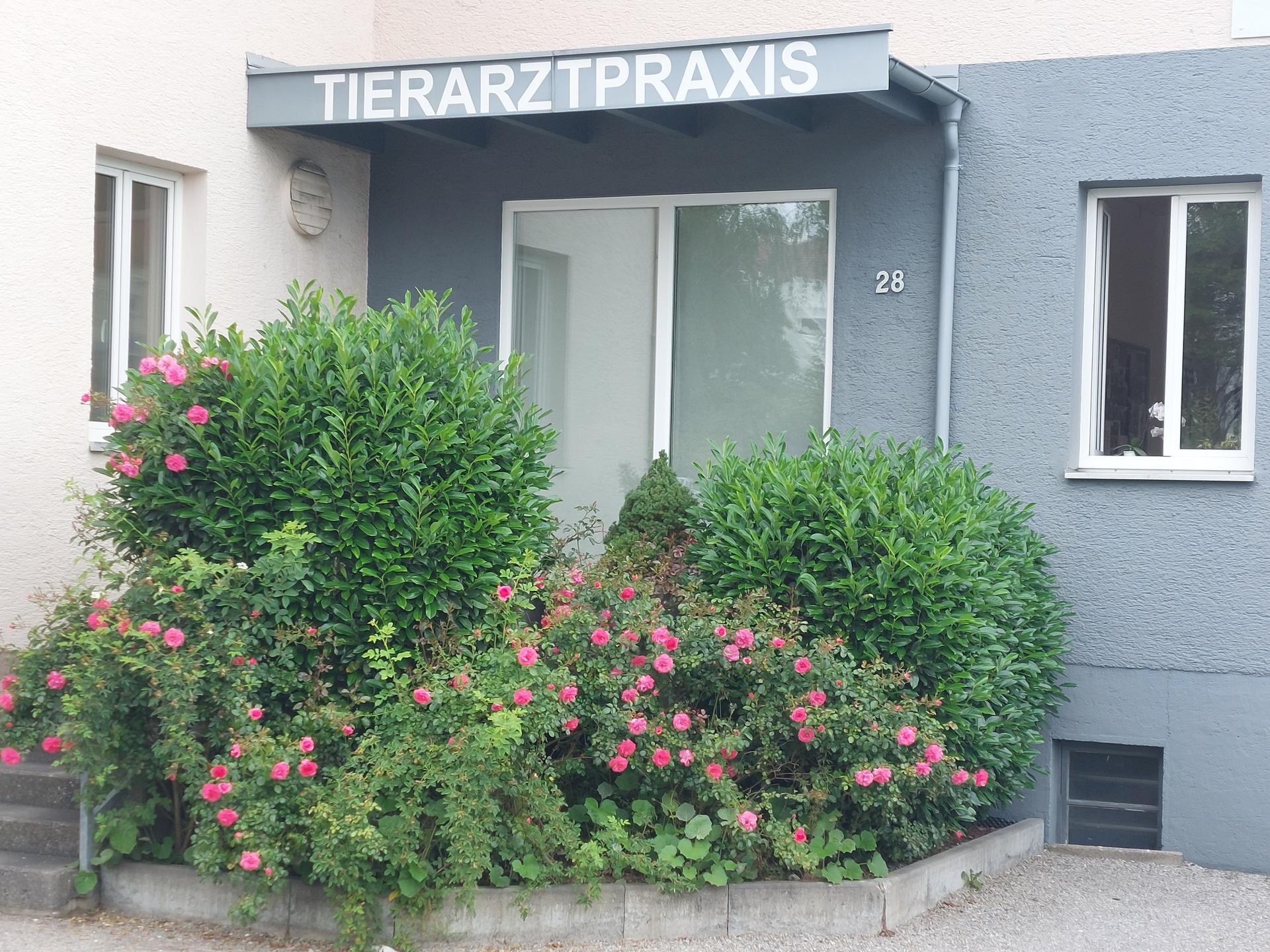 Ansicht 1 von Dr. med. vet. Katharina Gang-Stiller