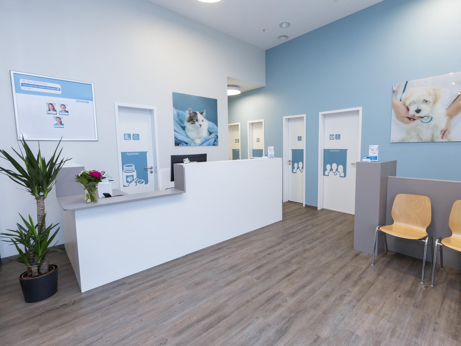 Ansicht 1 von Tierarzt Hannover, Activet Tierarztpraxis Hannover Südstadt