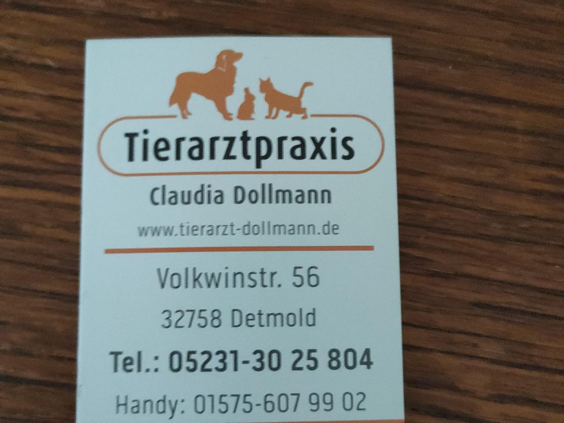 Ansicht 1 von Tierarztpraxis Claudia Dollmann | Tierarzt Detmold