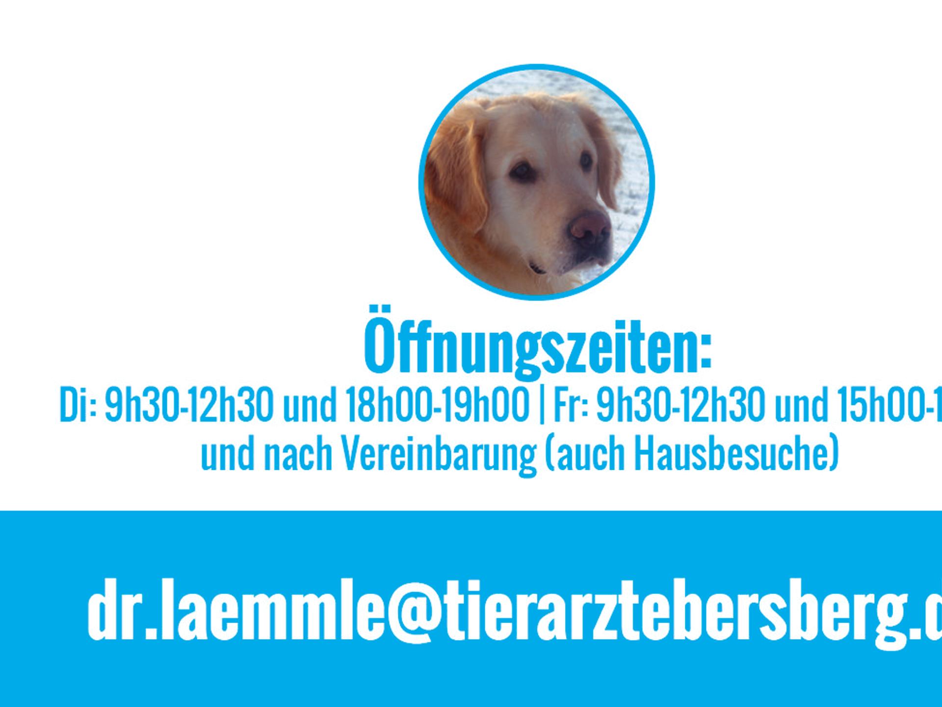 Ansicht 3 von Tierarztpraxis Dr.med.vet. Dorothea Lämmle