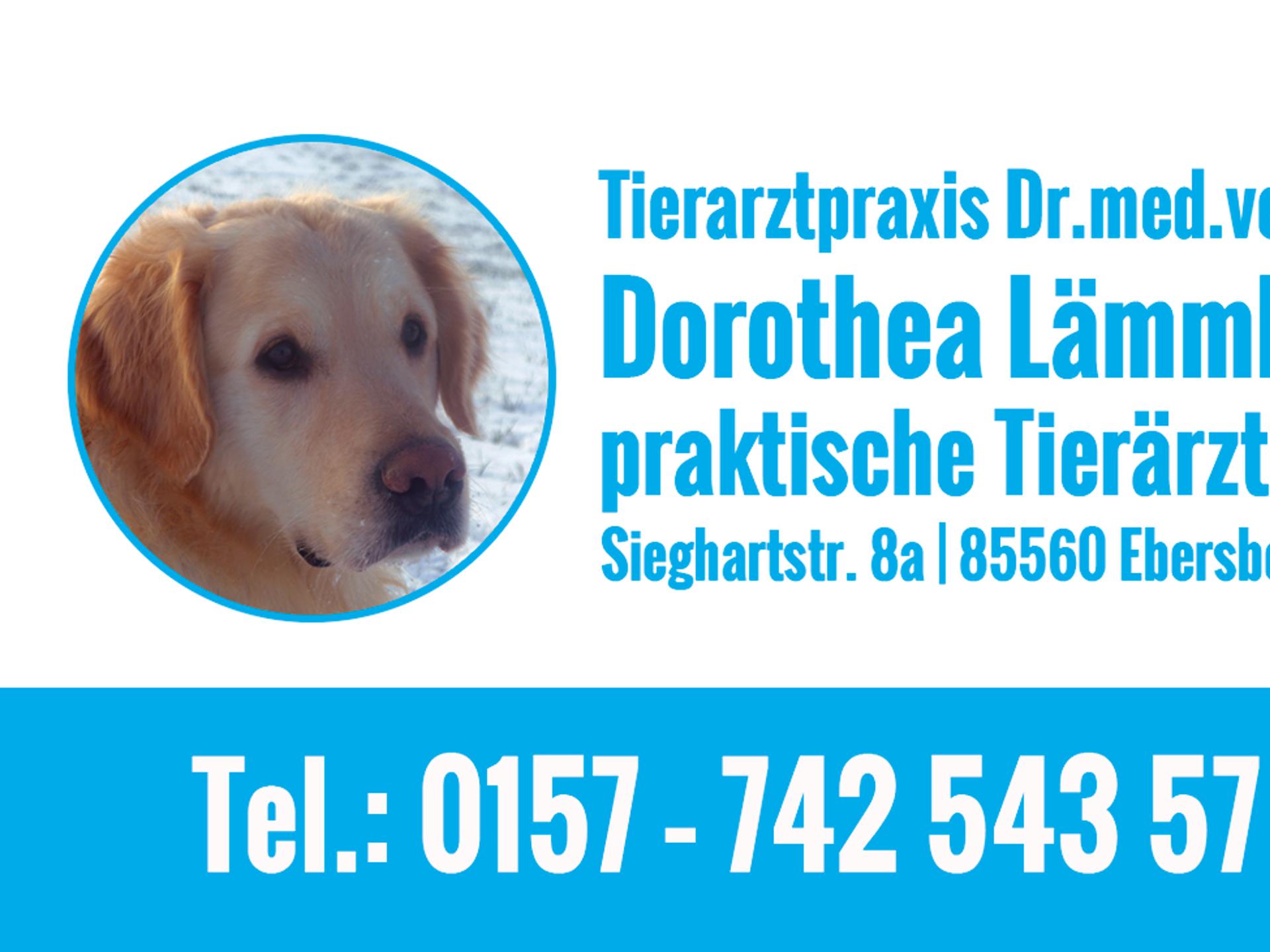 Ansicht 4 von Tierarztpraxis Dr.med.vet. Dorothea Lämmle