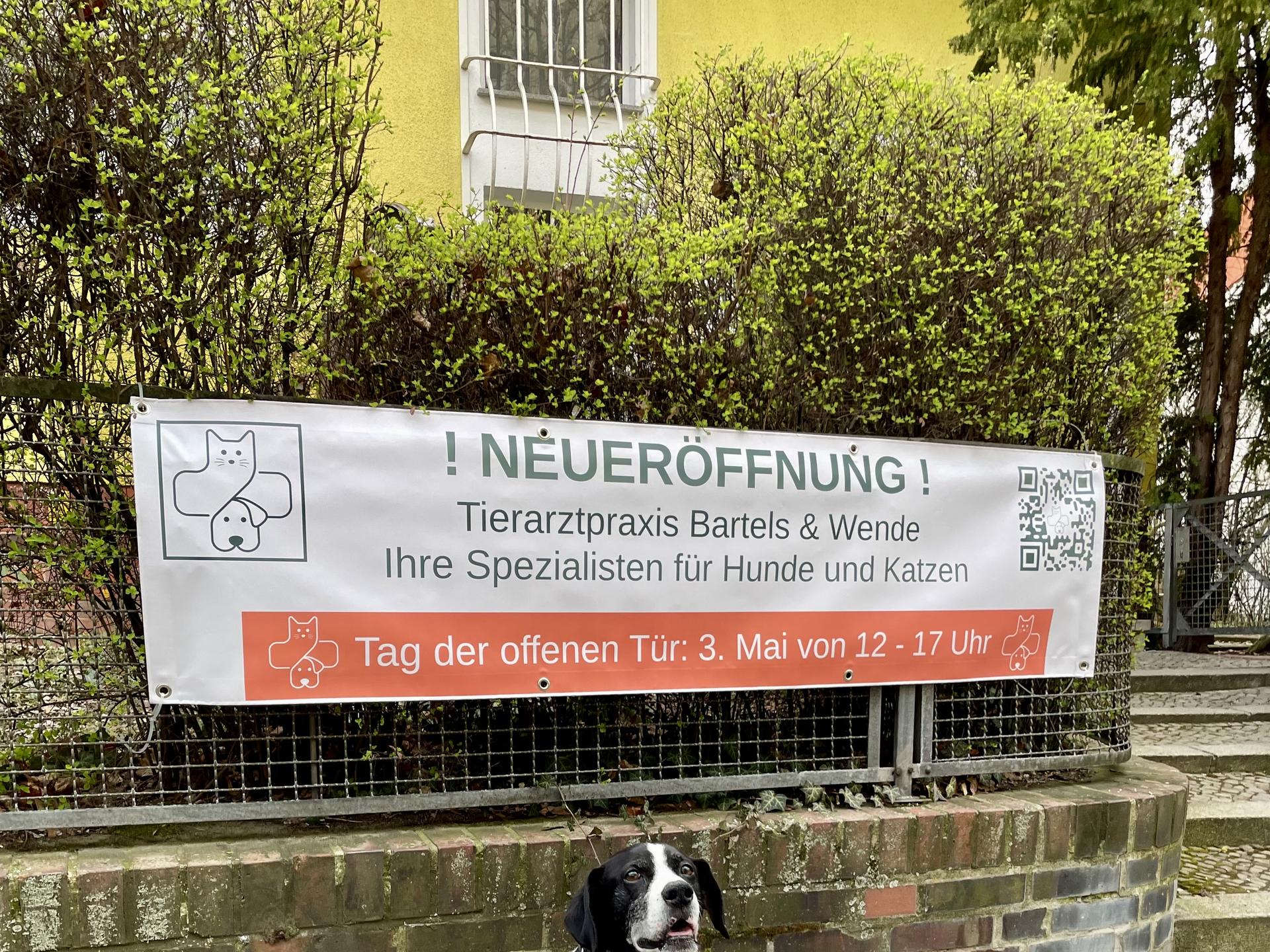 Ansicht 2 von Tierarztpraxis Bartels & Wende