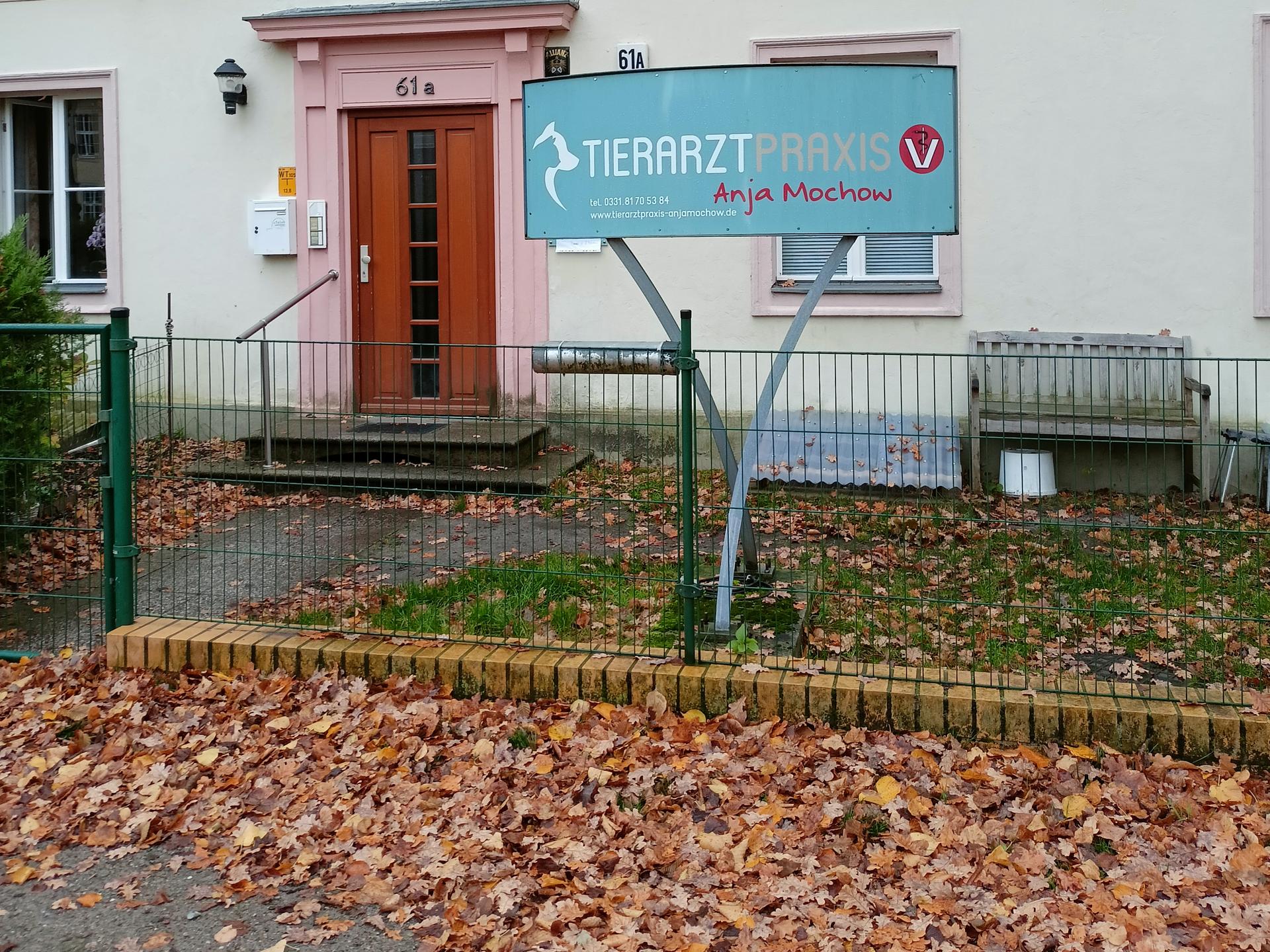 Ansicht 1 von Tierarztpraxis Anja Mochow