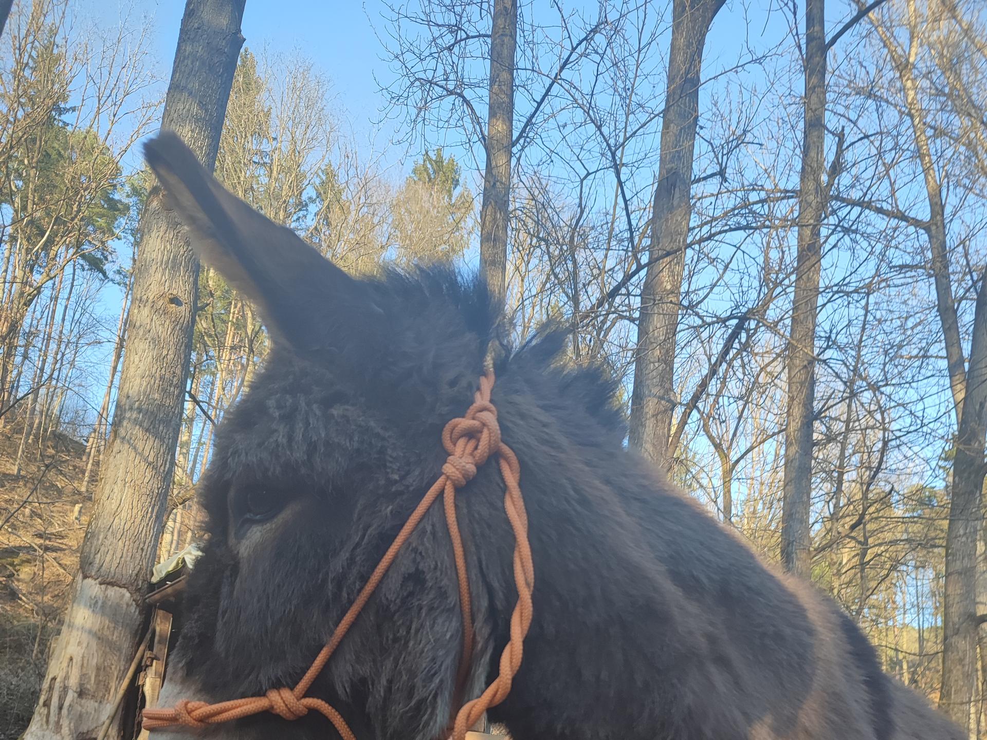 Ansicht 2 von Tierarztpraxis Katrin Antes