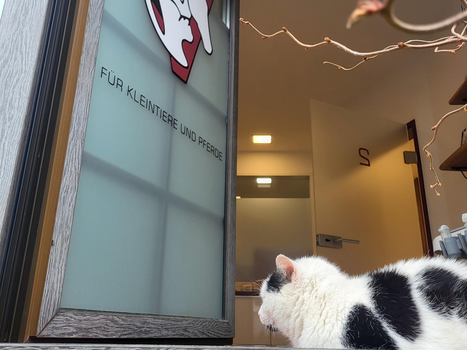 Ansicht 3 von Tierarztpraxis Katrin Antes