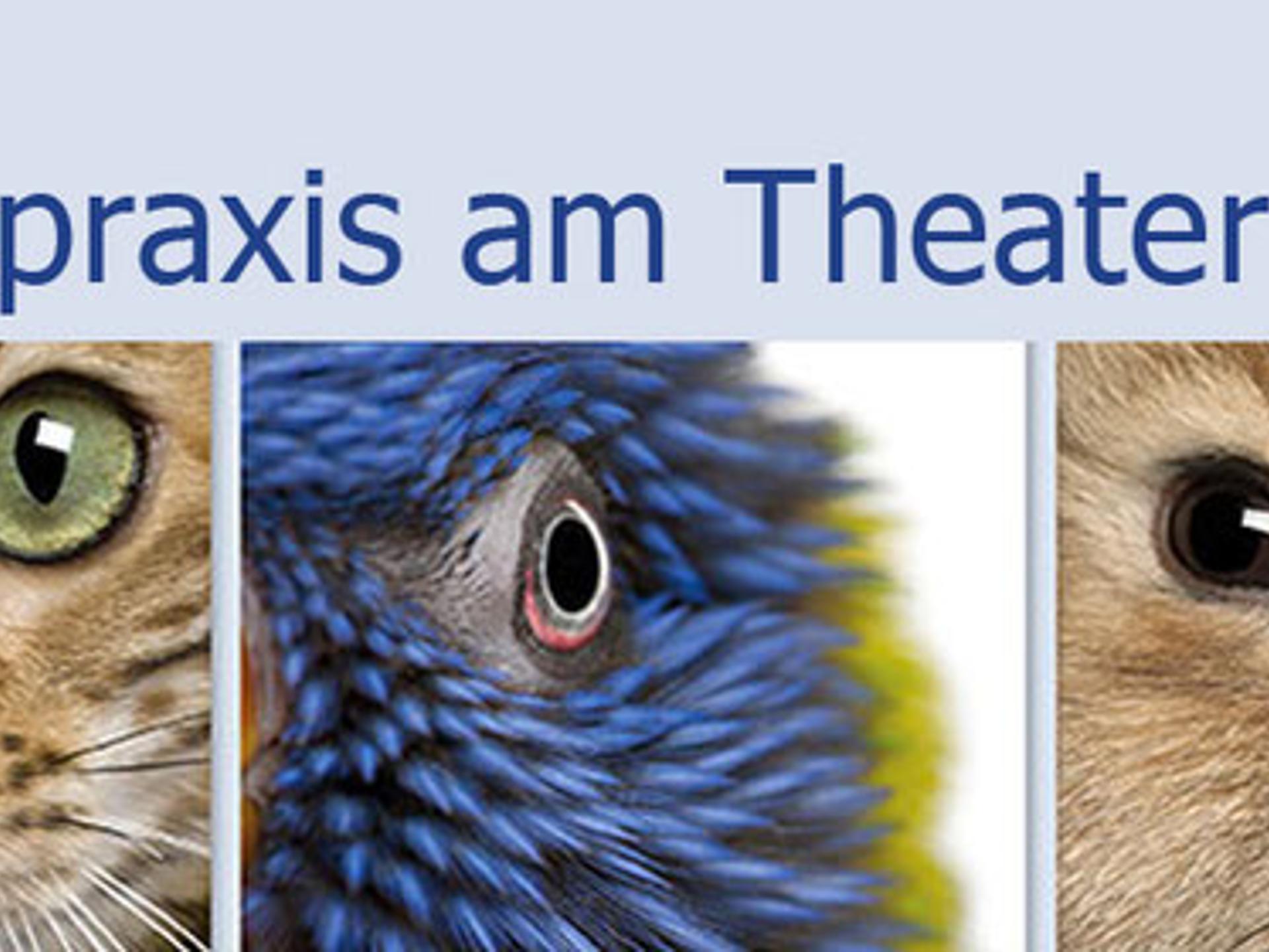 Ansicht 1 von Kleintierpraxis am Theater