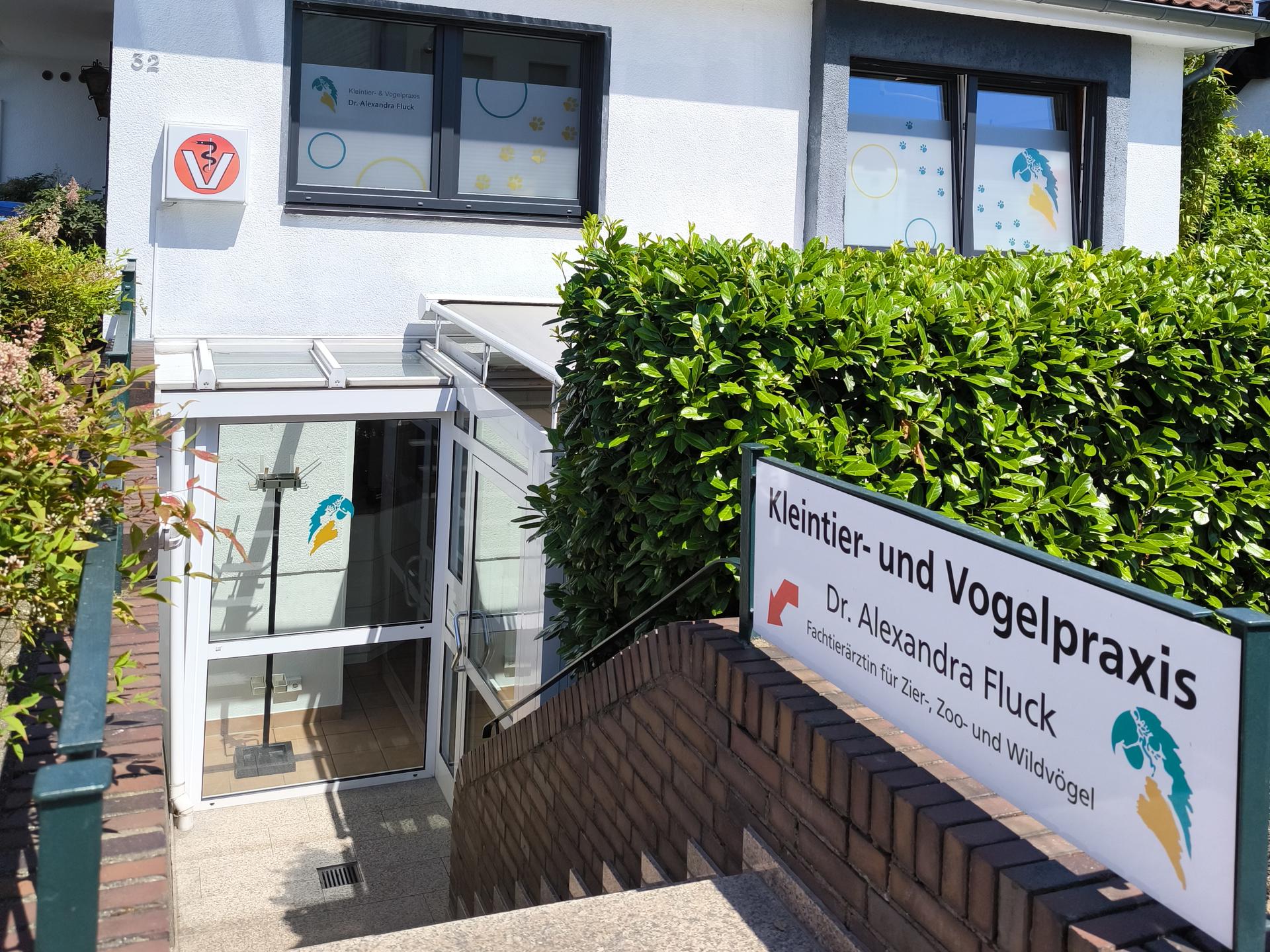 Ansicht 2 von Dr.med.vet. Alexandra Fluck