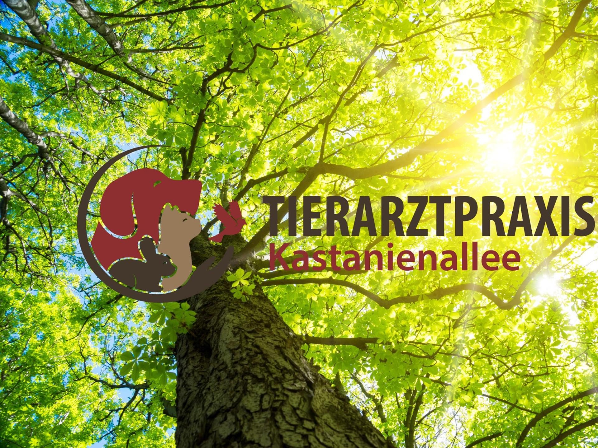 View 1 of Tierarztpraxis Kastanienallee