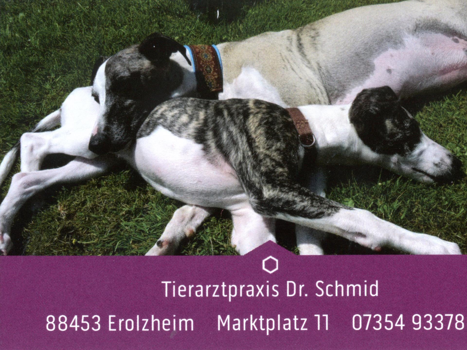 Ansicht 3 von Tierarztpraxis Dr. Schmid