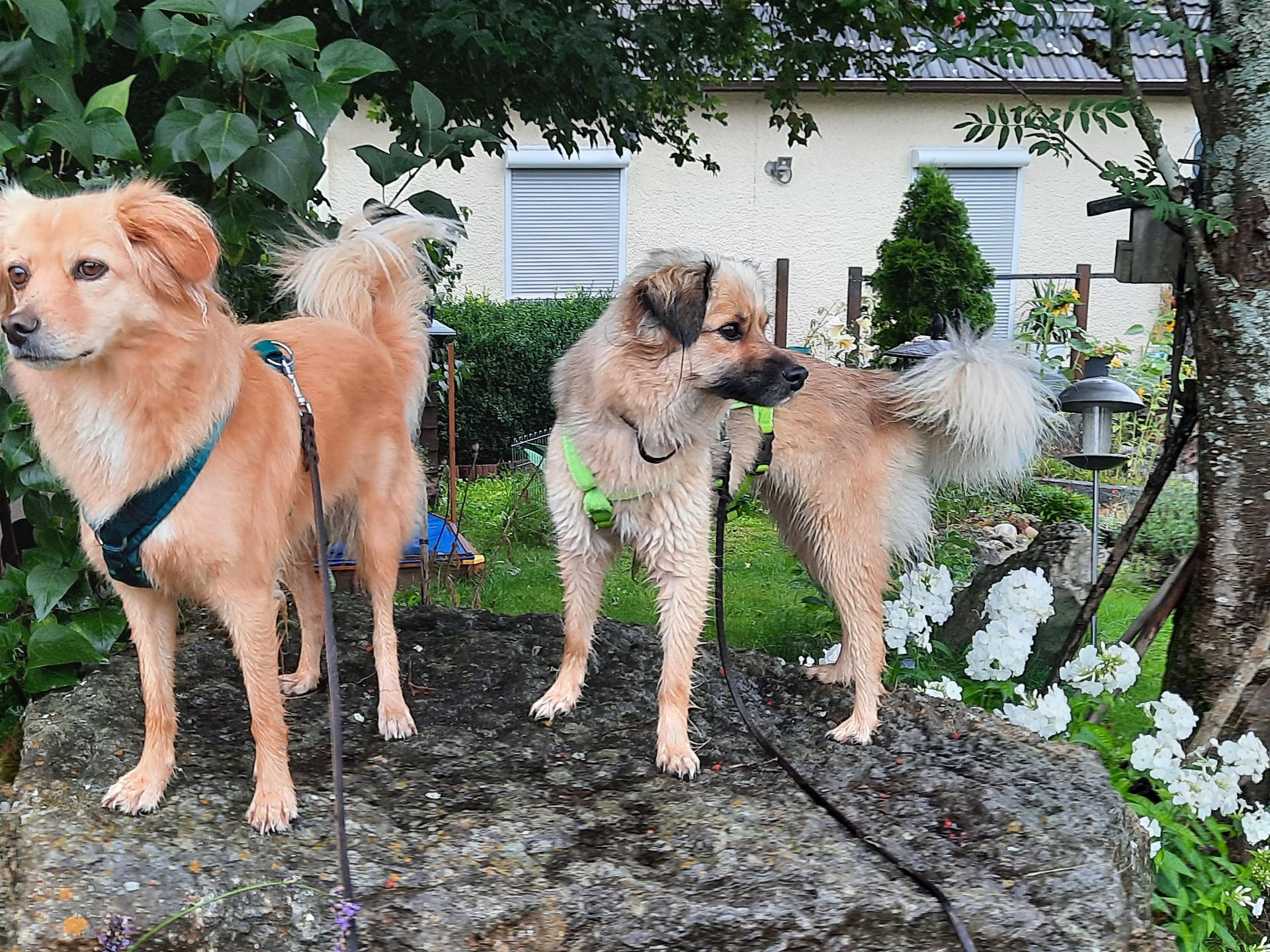 Ansicht 2 von Tierarztpraxis Frankfurter Straße