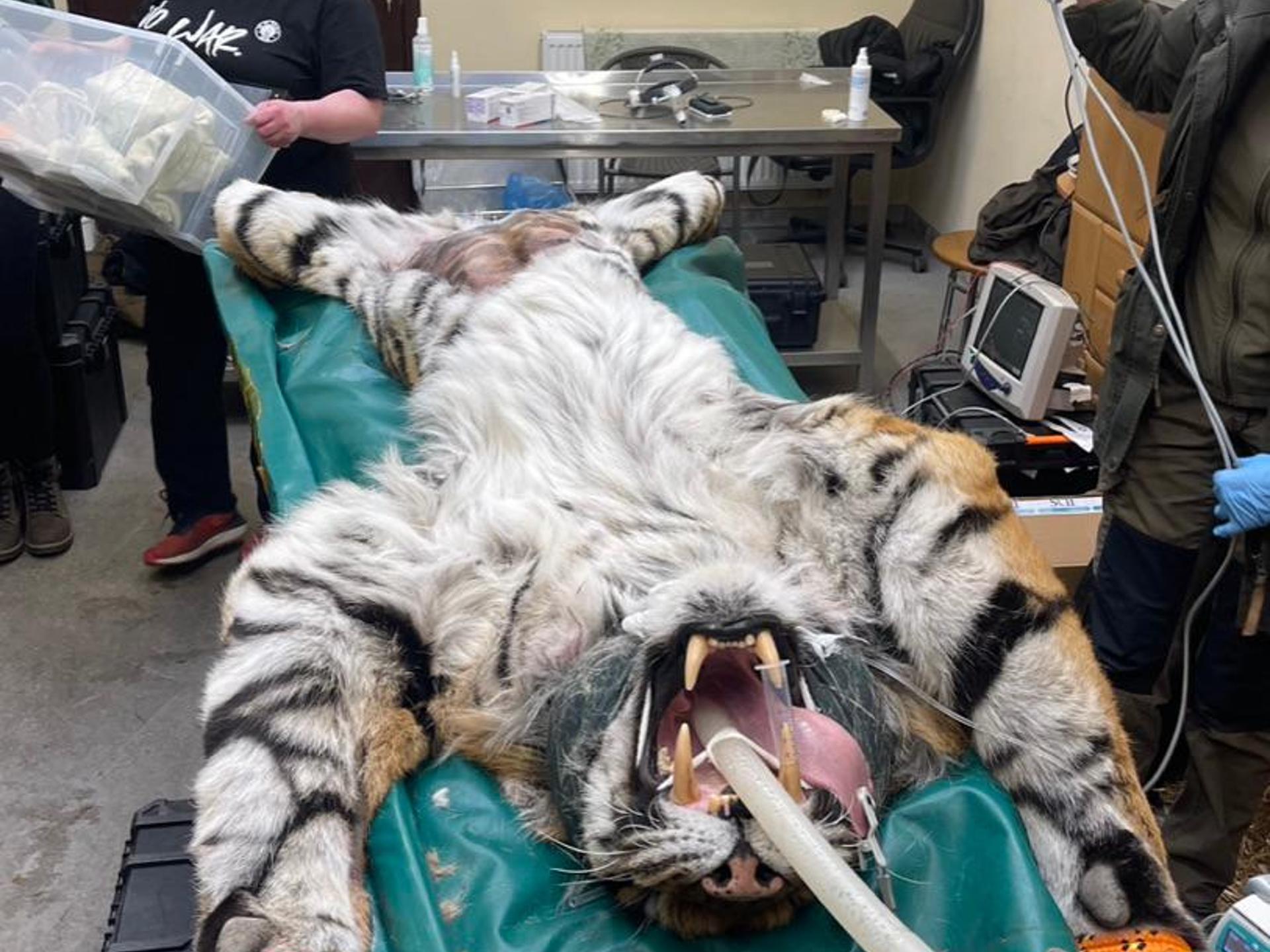 Ansicht 2 von Chirurgische Praxis für Klein- und Heimtiere