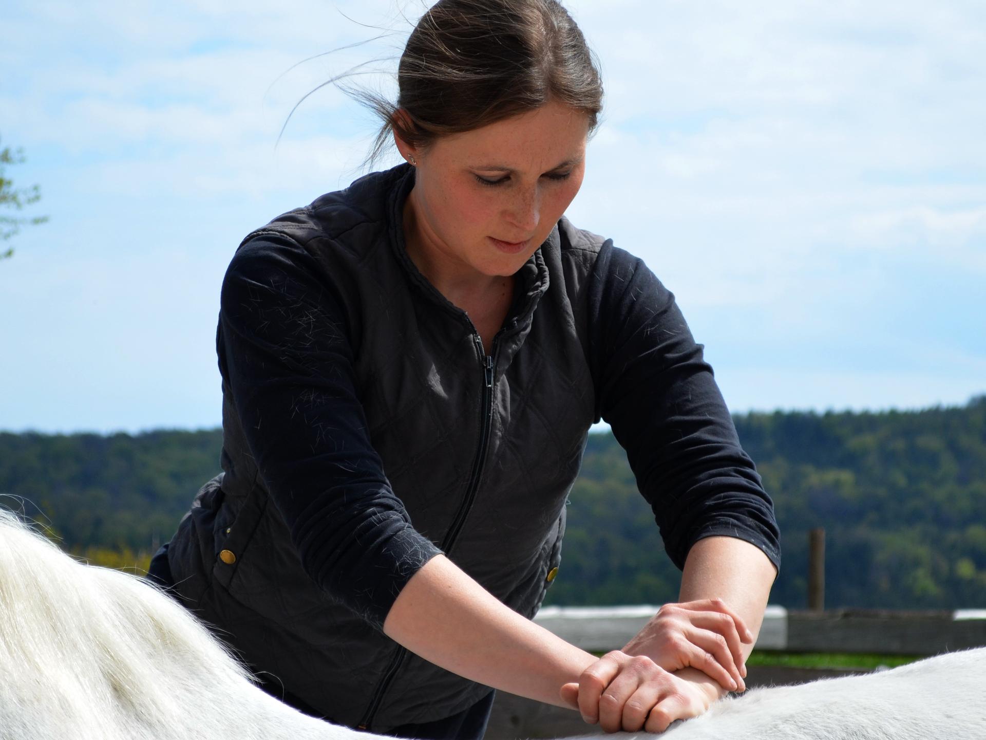 Ansicht 3 von Tierarztpraxis Uta Bunge - Praxis für Veterinärchiropraktik