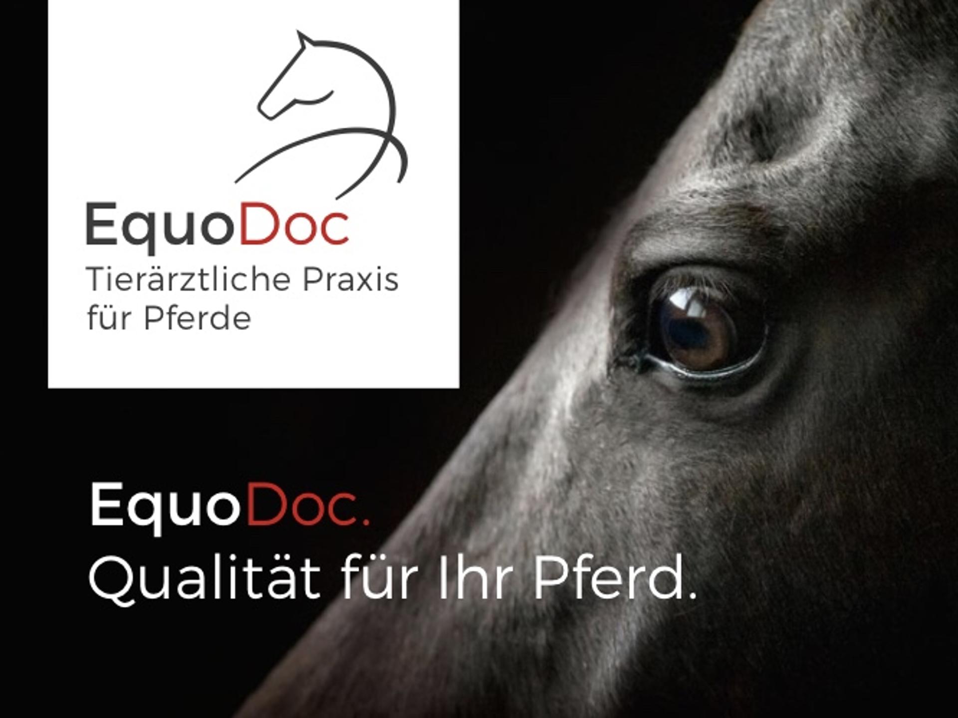 Ansicht 1 von EquoDoc-Tierärztliche Praxis für Pferde in Wolfenbüttel, Braunschweig, Salzgitter