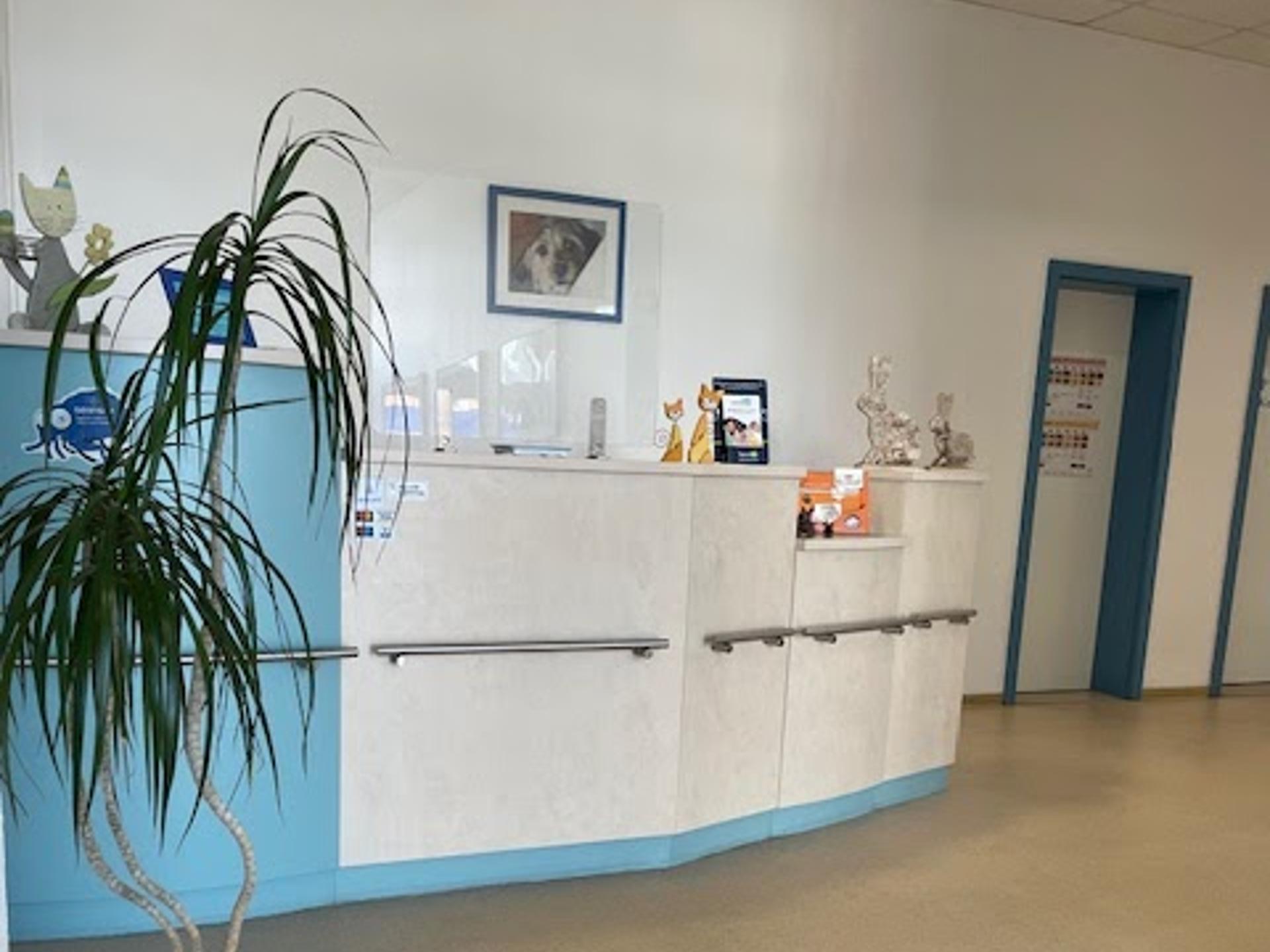 Ansicht 3 von Tierarztpraxis Kümmel und Lucke