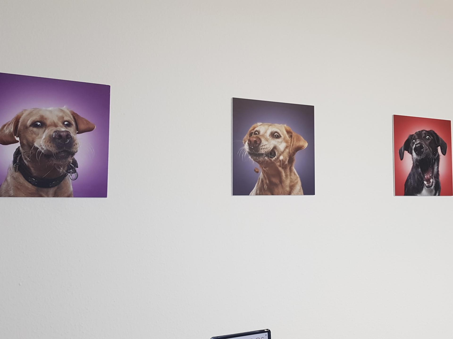 Ansicht 3 von Die Tiernotdienst Praxis Mülheim