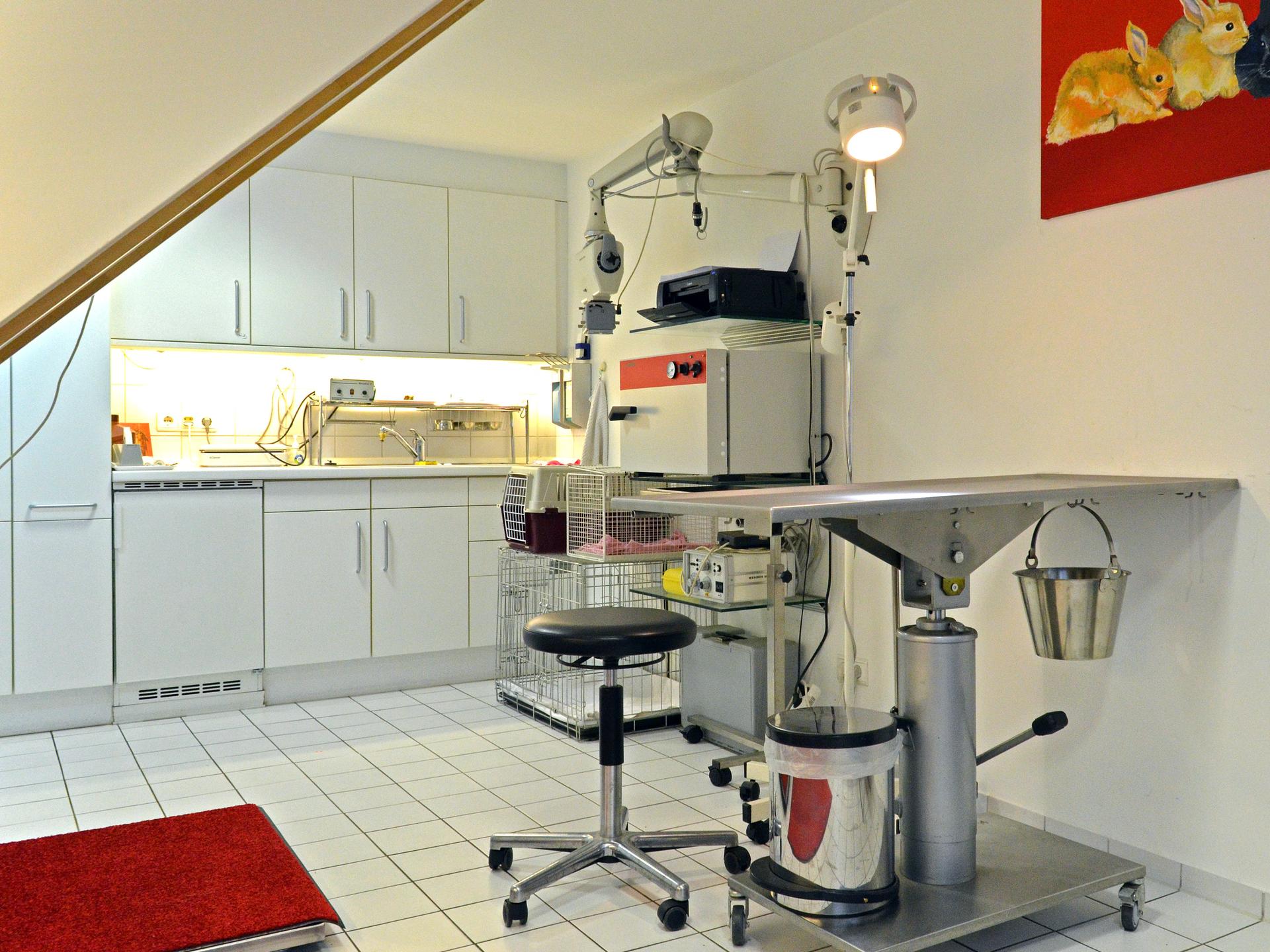 Ansicht 3 von Catharina Helmke Tierärztin