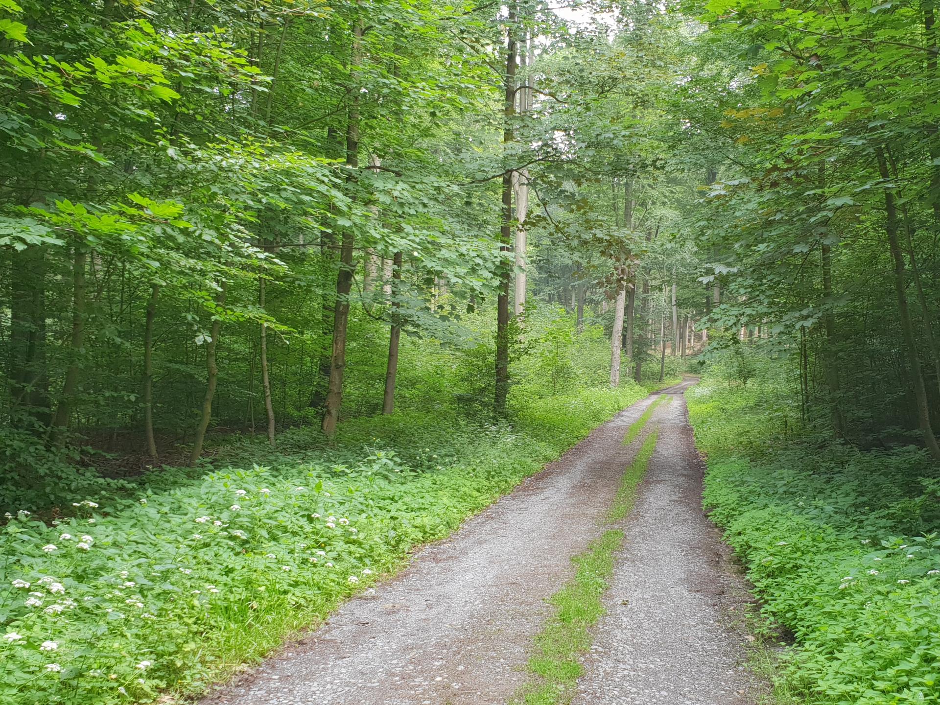View 3 of Dr.med.vet. Hans-Jost Treude Tierarzt