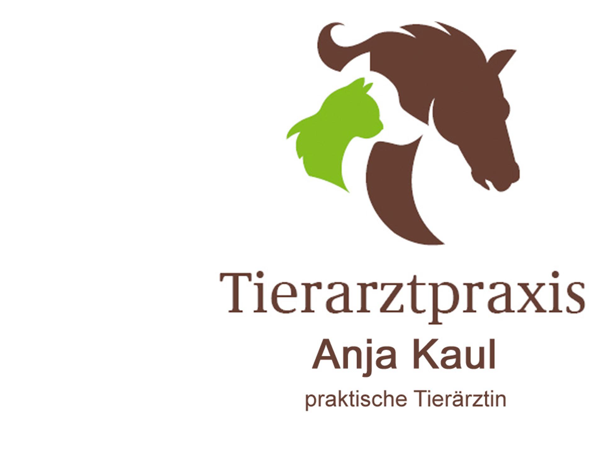 Ansicht 2 von Anja Kaul Tierärztin für Pferde und Kleintiere