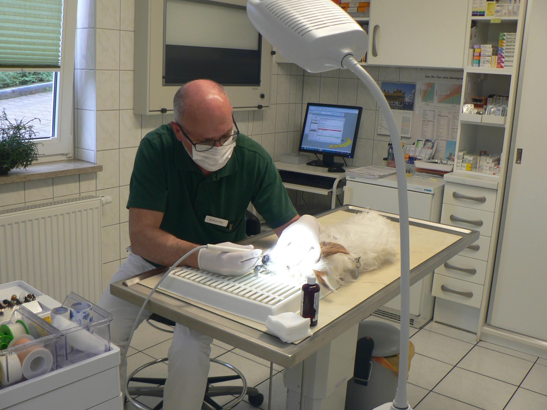 Ansicht 1 von Dr.med.vet. Reiner Horn Tierarzt