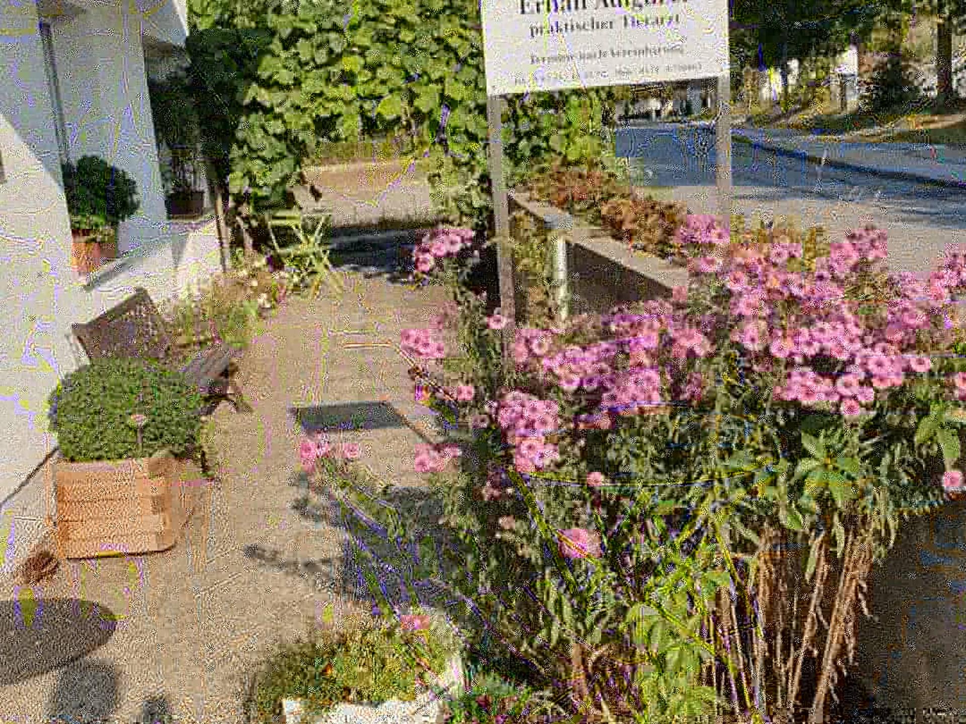 Ansicht 4 von Tierarztpraxis Adigüzel