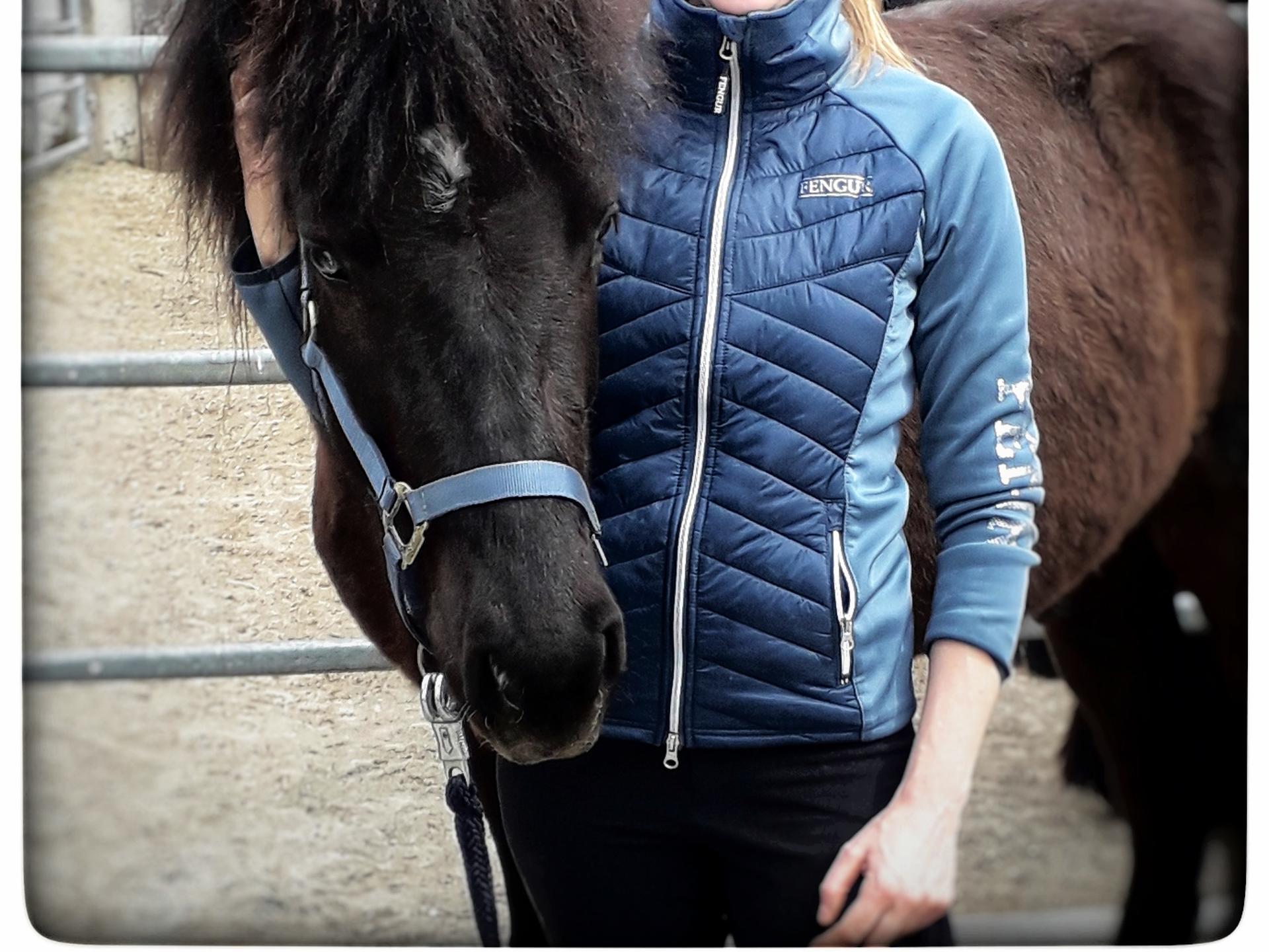 Ansicht 1 von Tierärztliche Praxis für Pferde Elke Kuehn geb. Ingwersen prakt. Tierärztin