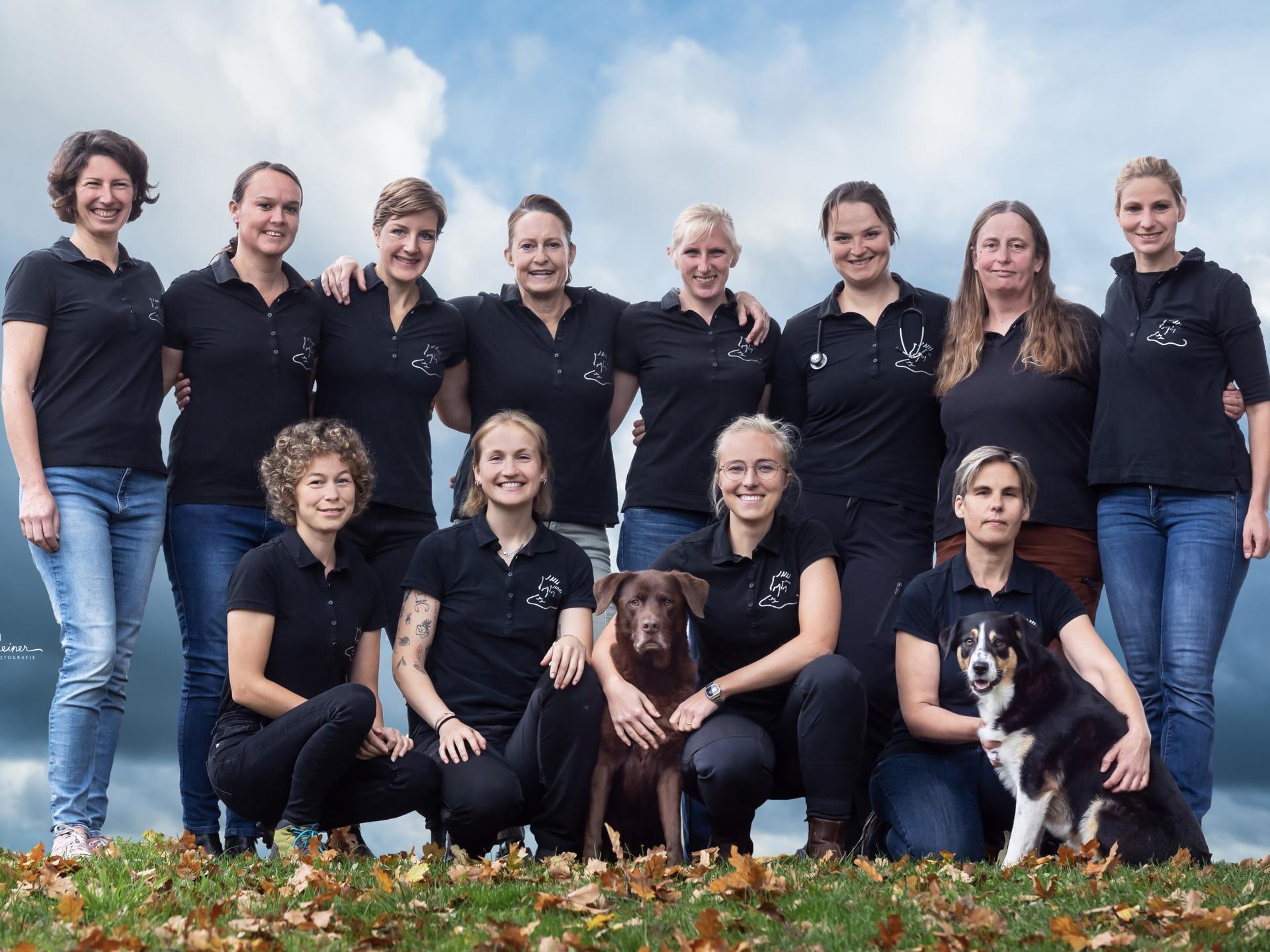 Ansicht 1 von Pferdepraxis Seedorf