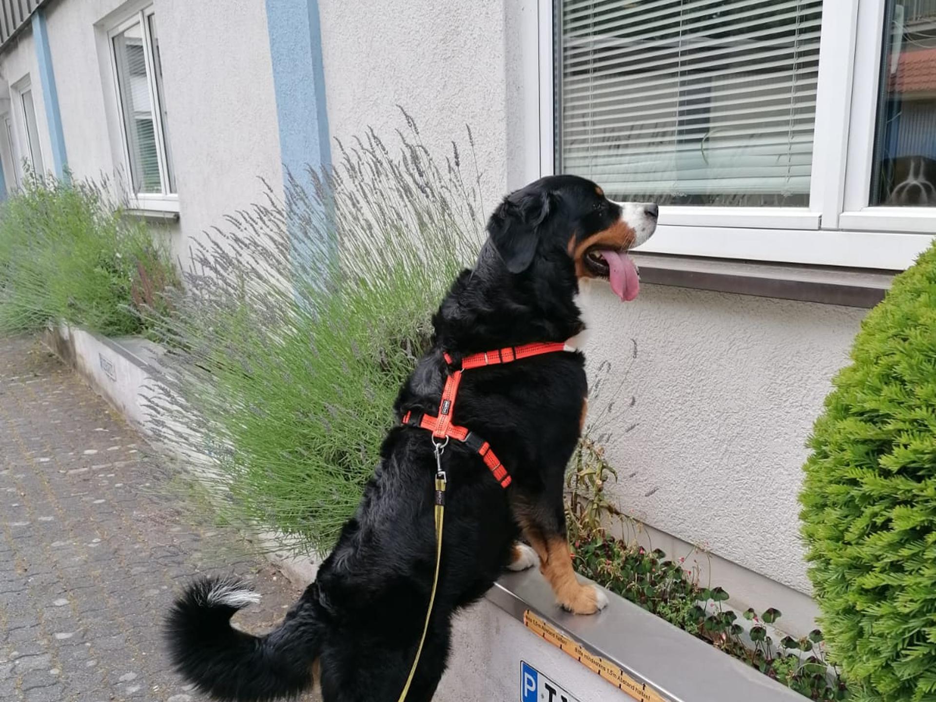 Ansicht 1 von Thomas Schell