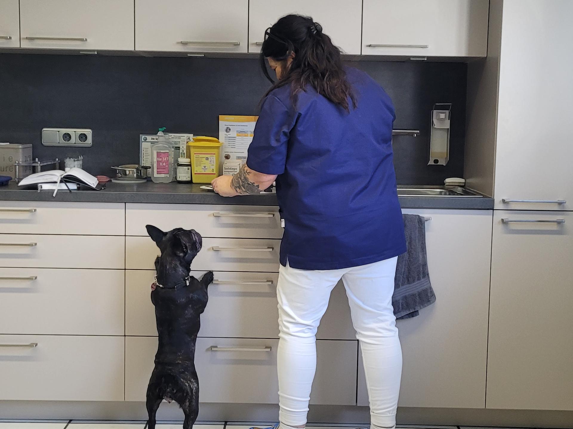 Ansicht 2 von Tierärztin Dr.med.vet. Nina Breunig