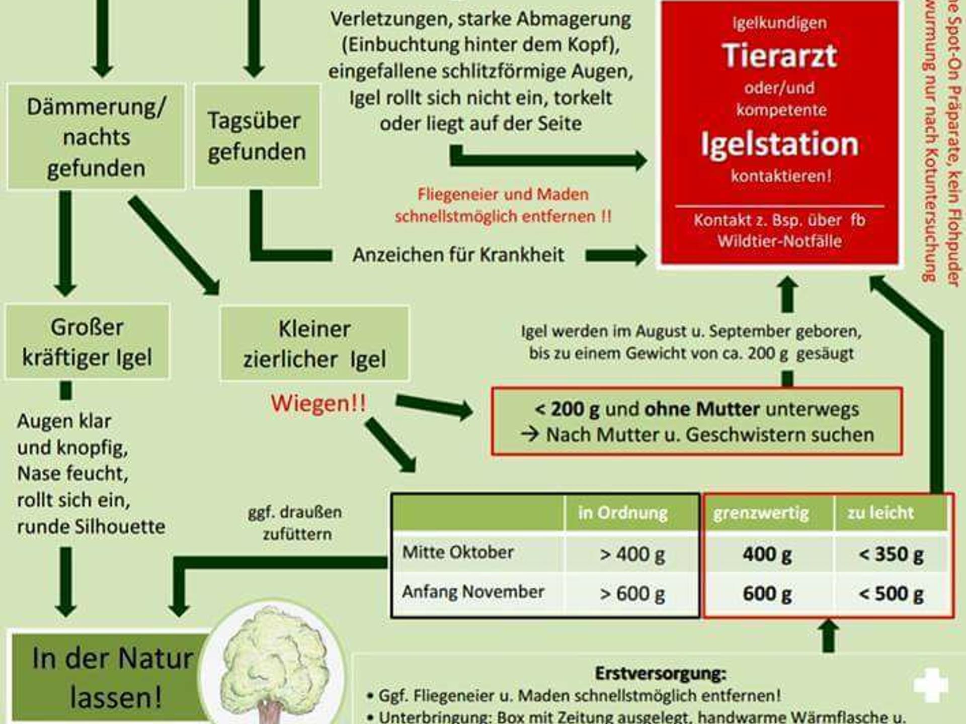 Ansicht 1 von Tierarztpraxis Reckenfeld