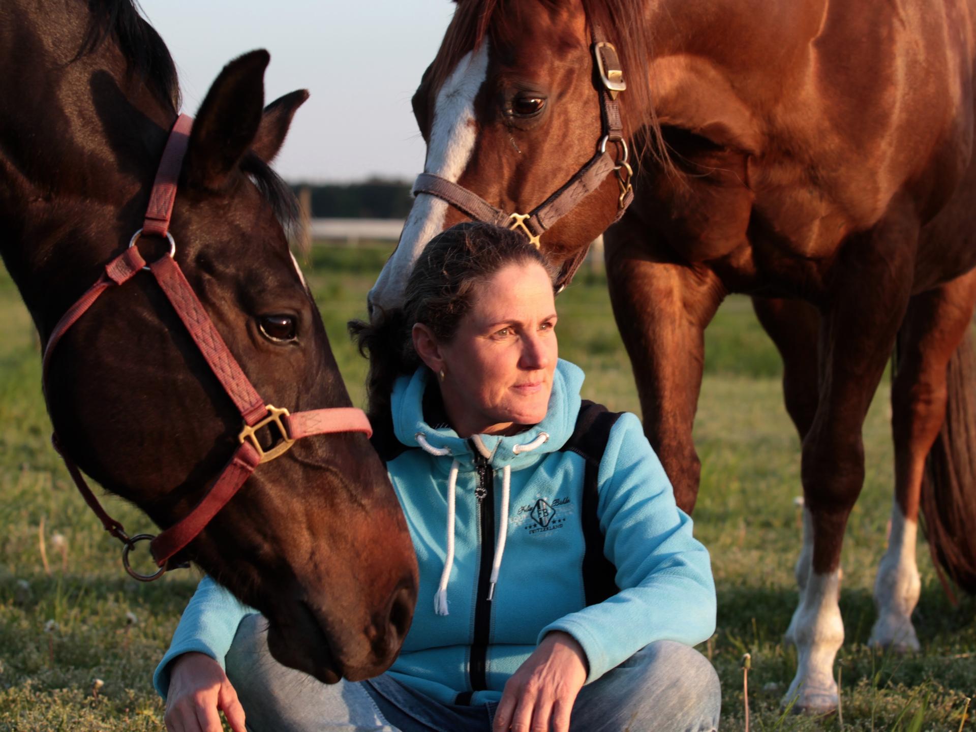 Ansicht 4 von Tierärztliche Praxis für Pferde Dr. Katharina Bergmann (Fachtierärztin für Pferde)