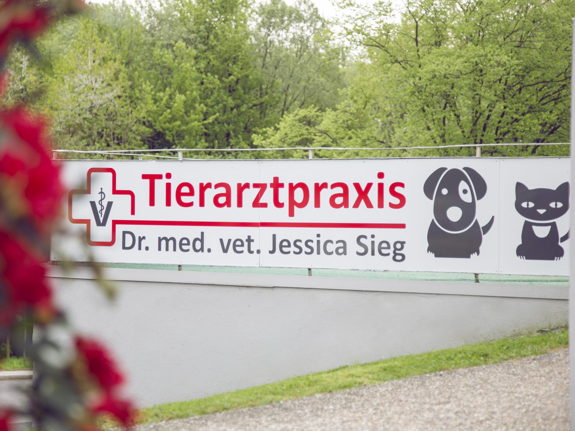 Ansicht 1 von Tierarztpraxis Dr. Jessica Sieg -Fachtierärztin für Kleintiere
