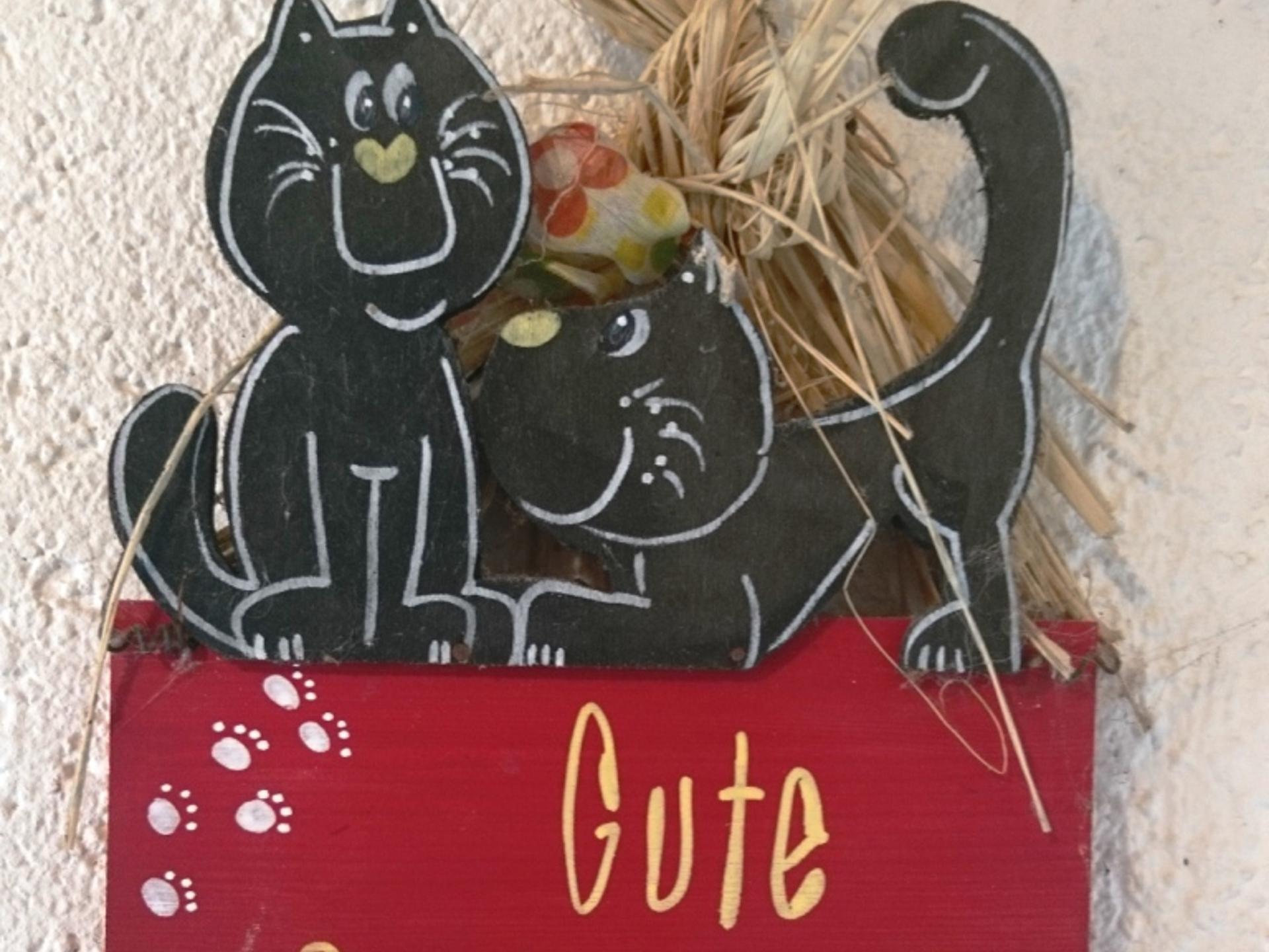 Ansicht 3 von Tierarztpraxis GOLD - natürlich gesund! Termine nach Vereinbarung