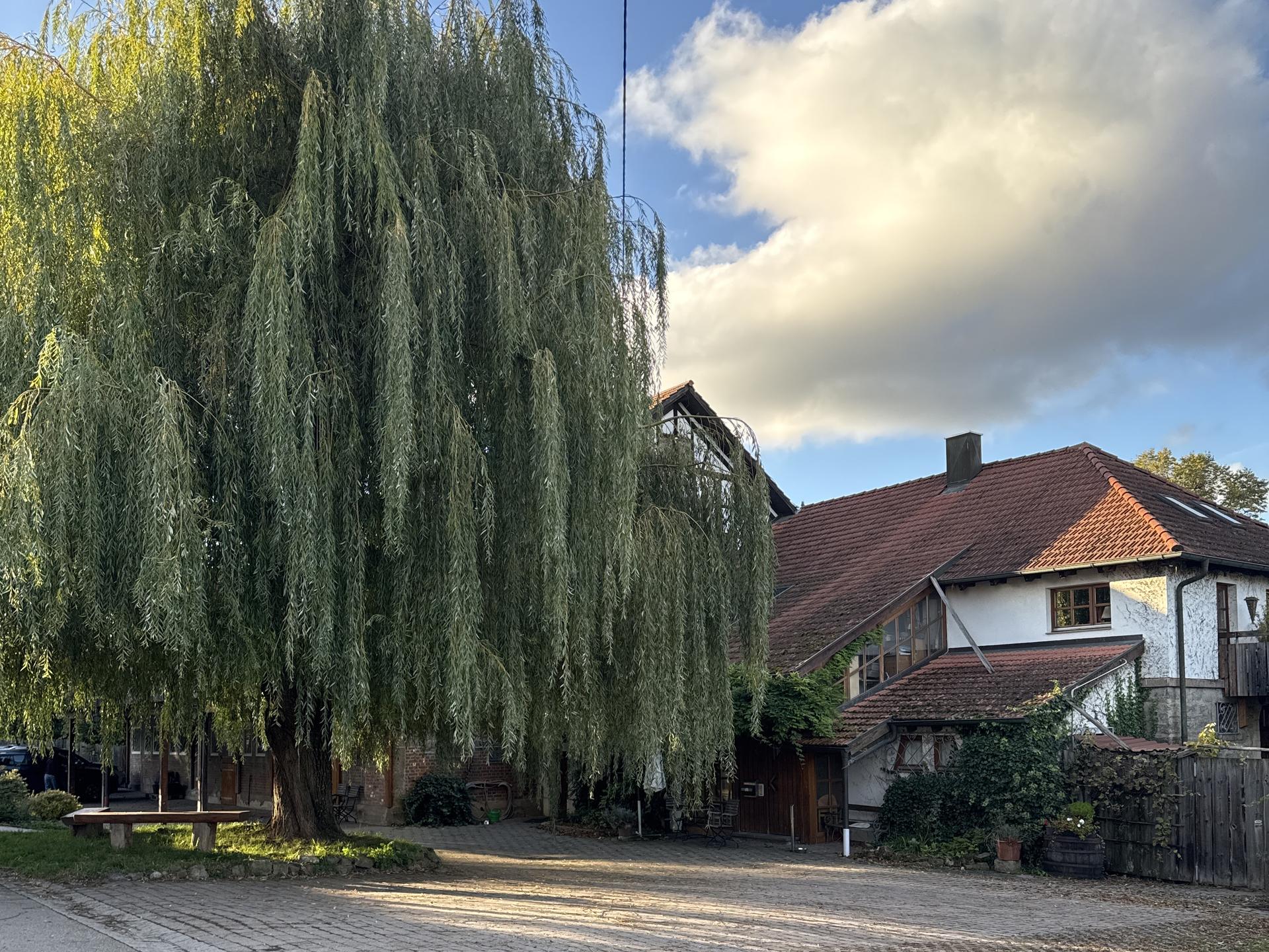 Ansicht 1 von Tierarztpraxis Wilhelmshof