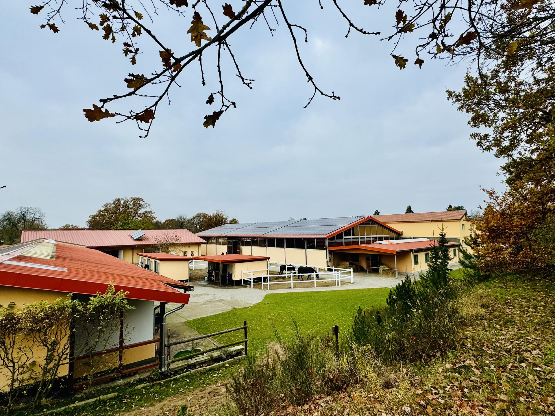 Ansicht 1 von Pferdeklinik Dallgow Altano GmbH - 24 Stunden Notdienst