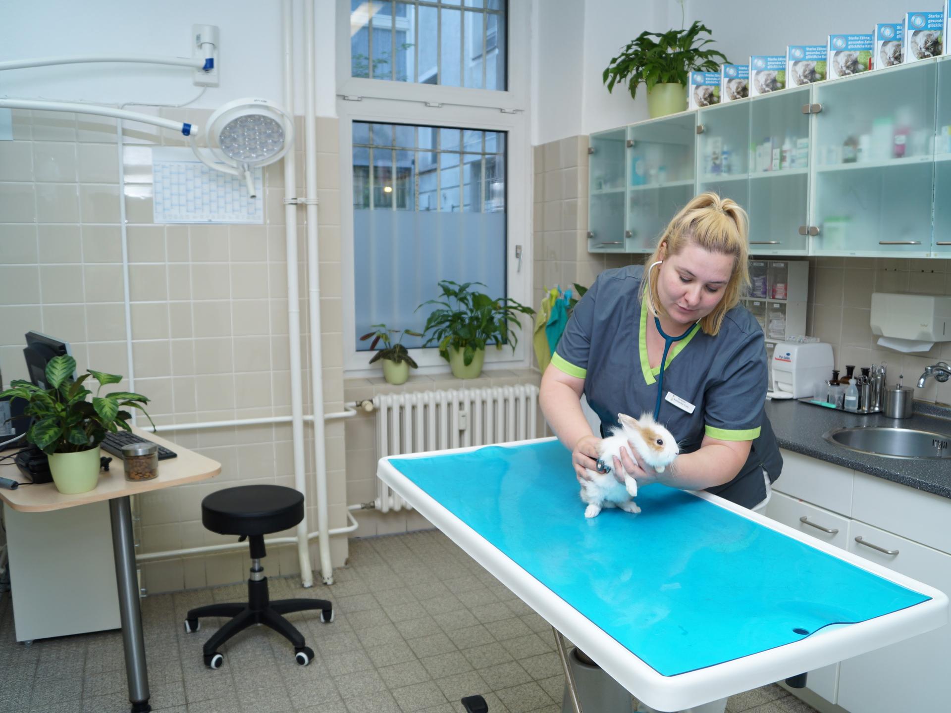 Ansicht 5 von Dr.med.vet. Claudia Pastor Tierärztin