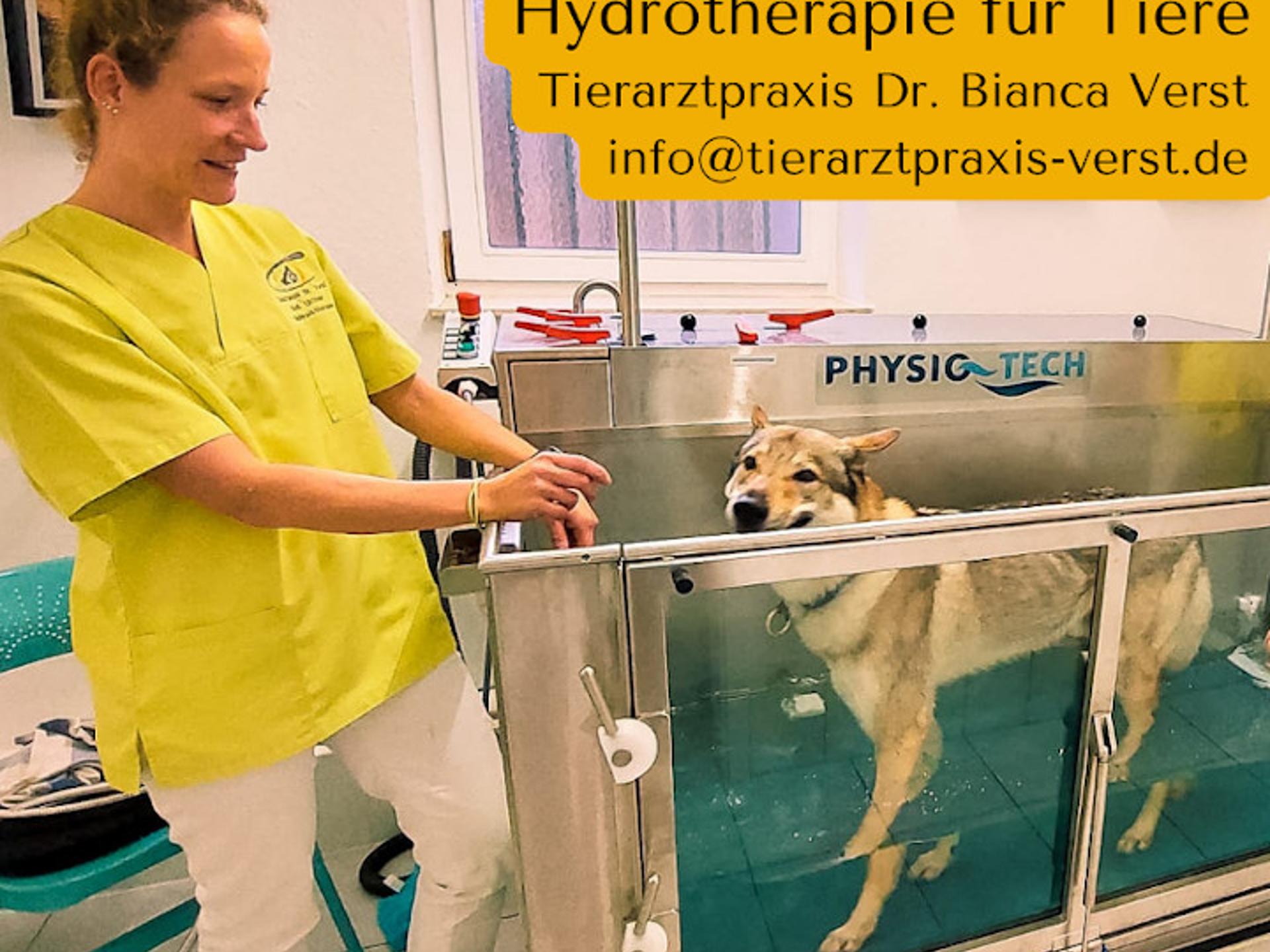 Ansicht 1 von Tierarztpraxis Verst - Dr. Bianca Verst praktische Tierärztin & Augenspezialistin für Tiere