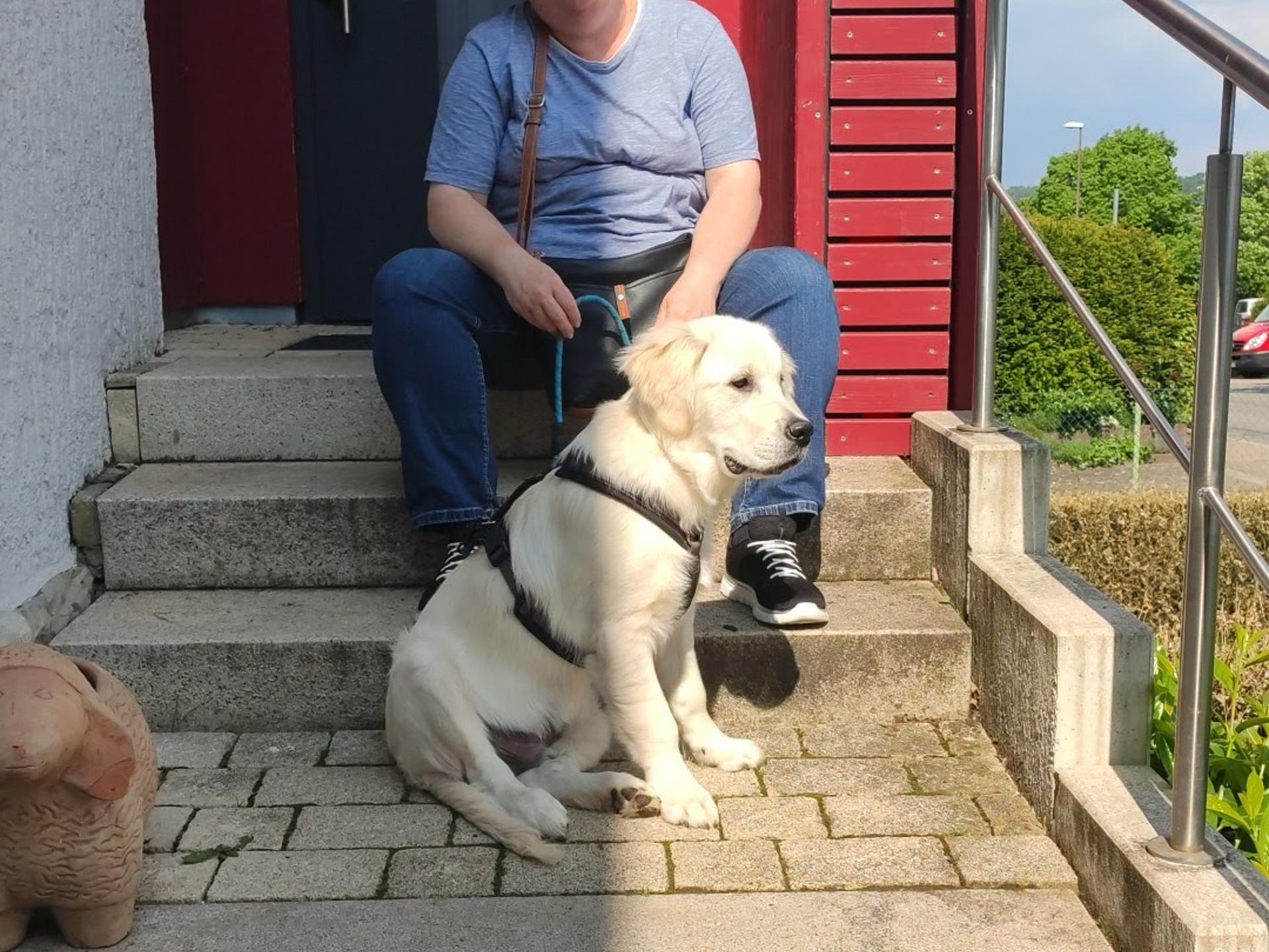 Ansicht 1 von Tierarztpraxis Dr. med. vet. Bea Redinger-Kraus
