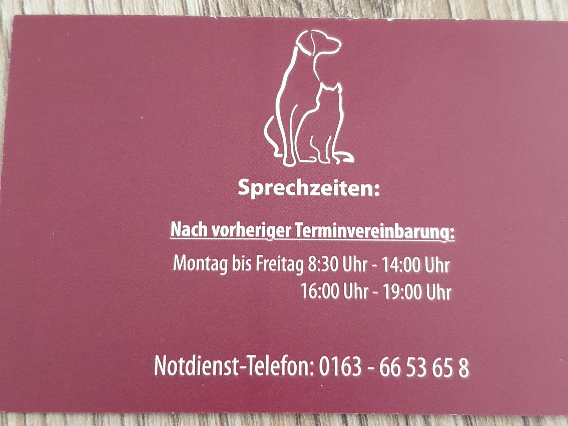 Ansicht 1 von Schulze Rückamp Larissa